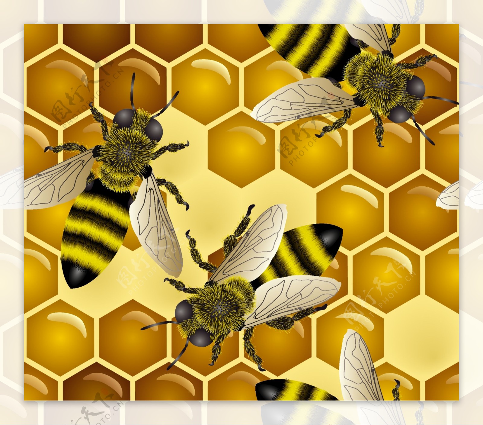 蜜蜂主题插画矢量素材