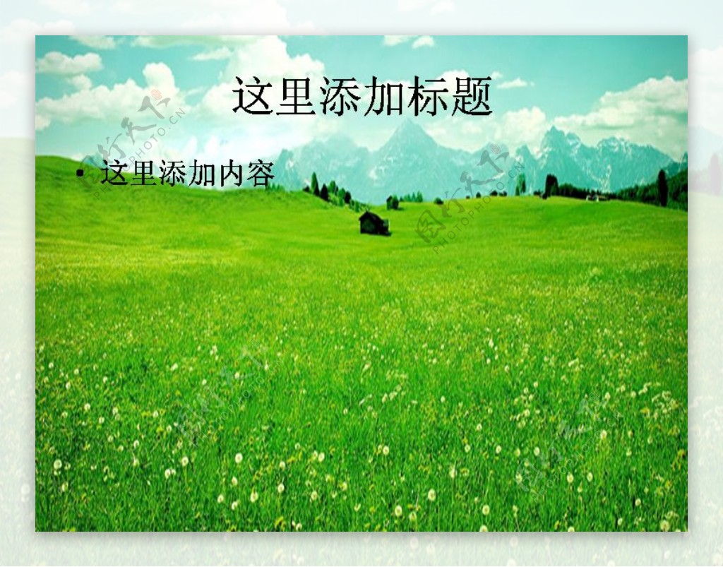 美丽蓝天白云绿草地野花风景