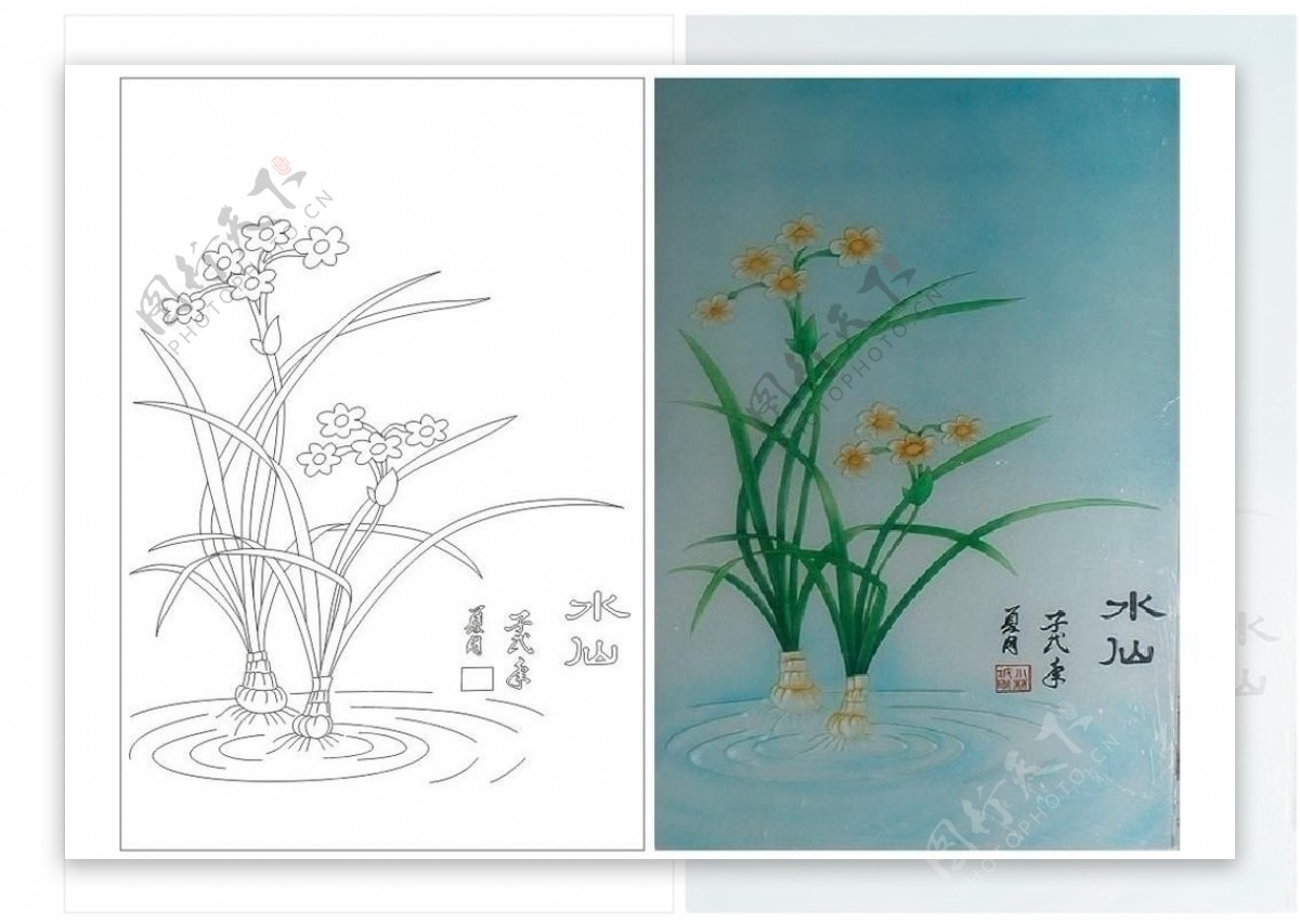 水仙花