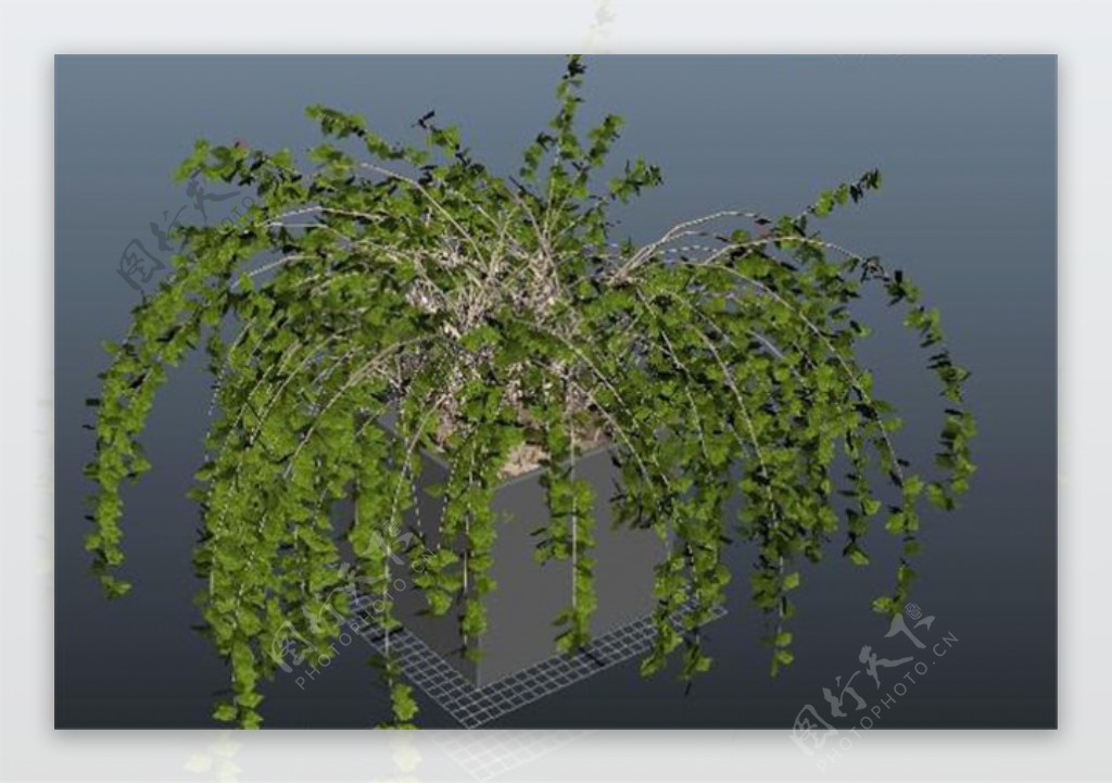 绿色植物盆栽游戏模型