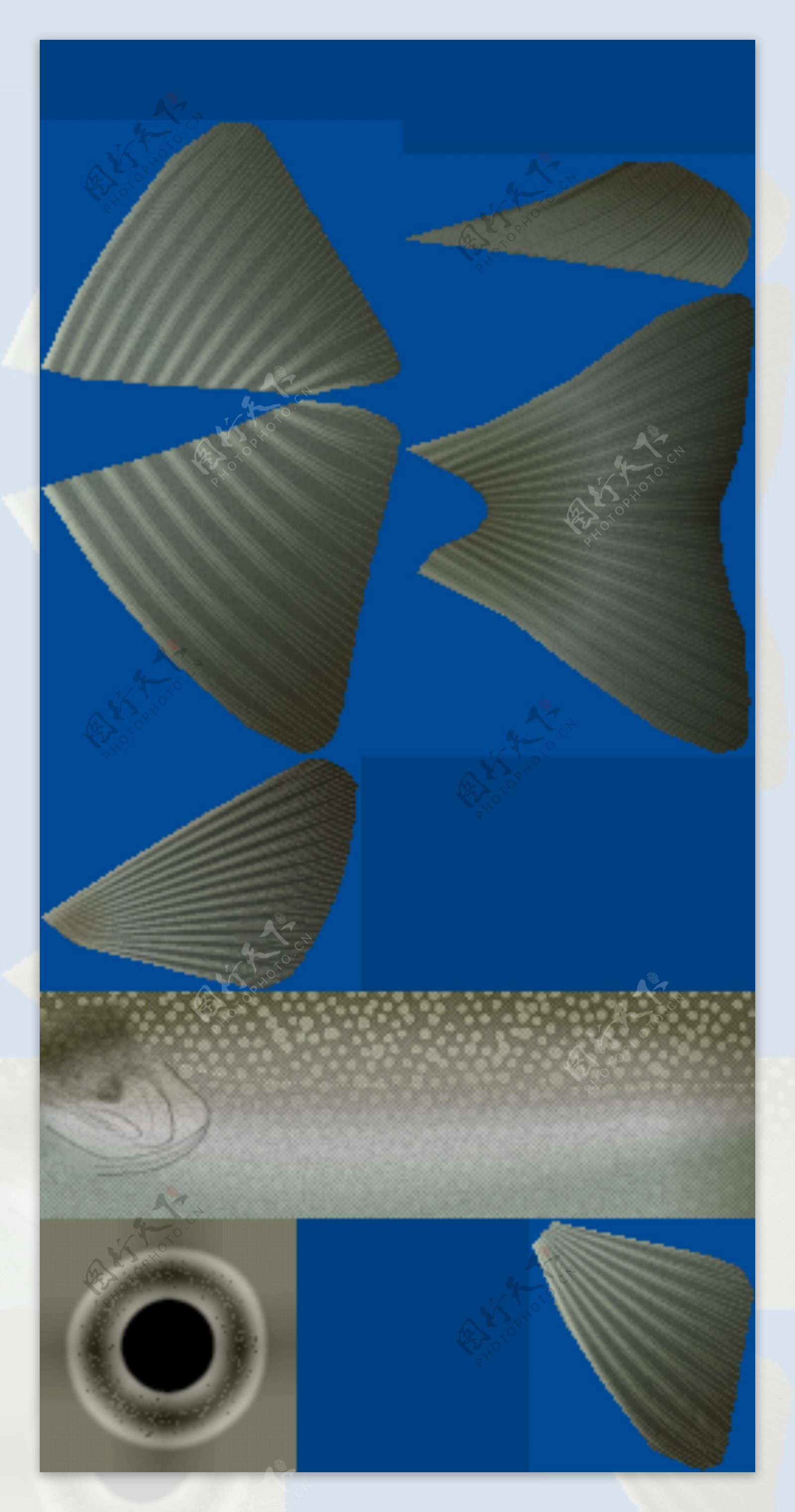 动物鱼类3d模型动植物模型免费下载鱼类3d素材32