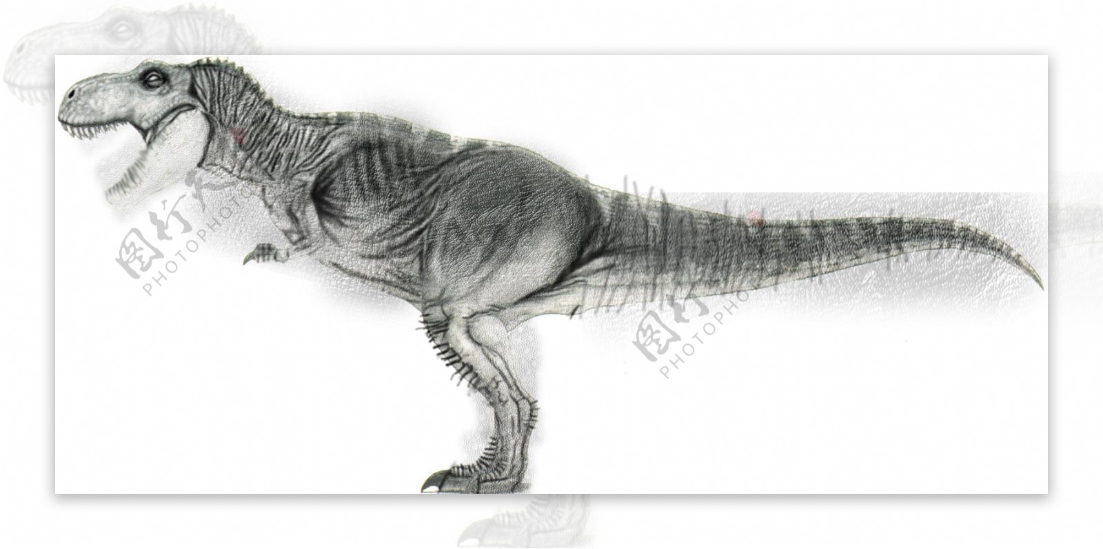恐龙动物3D模型素材