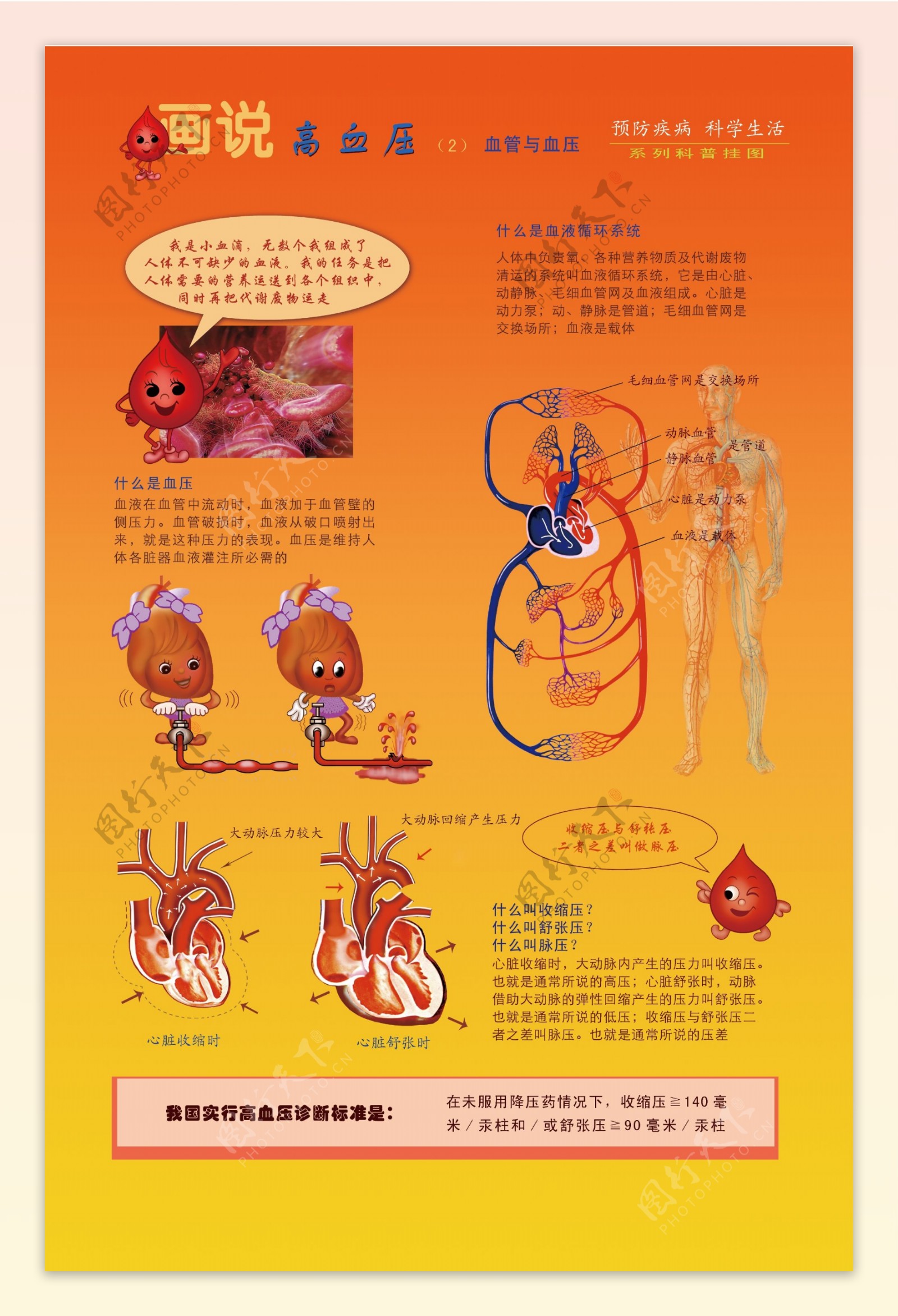 画说高血压2图片