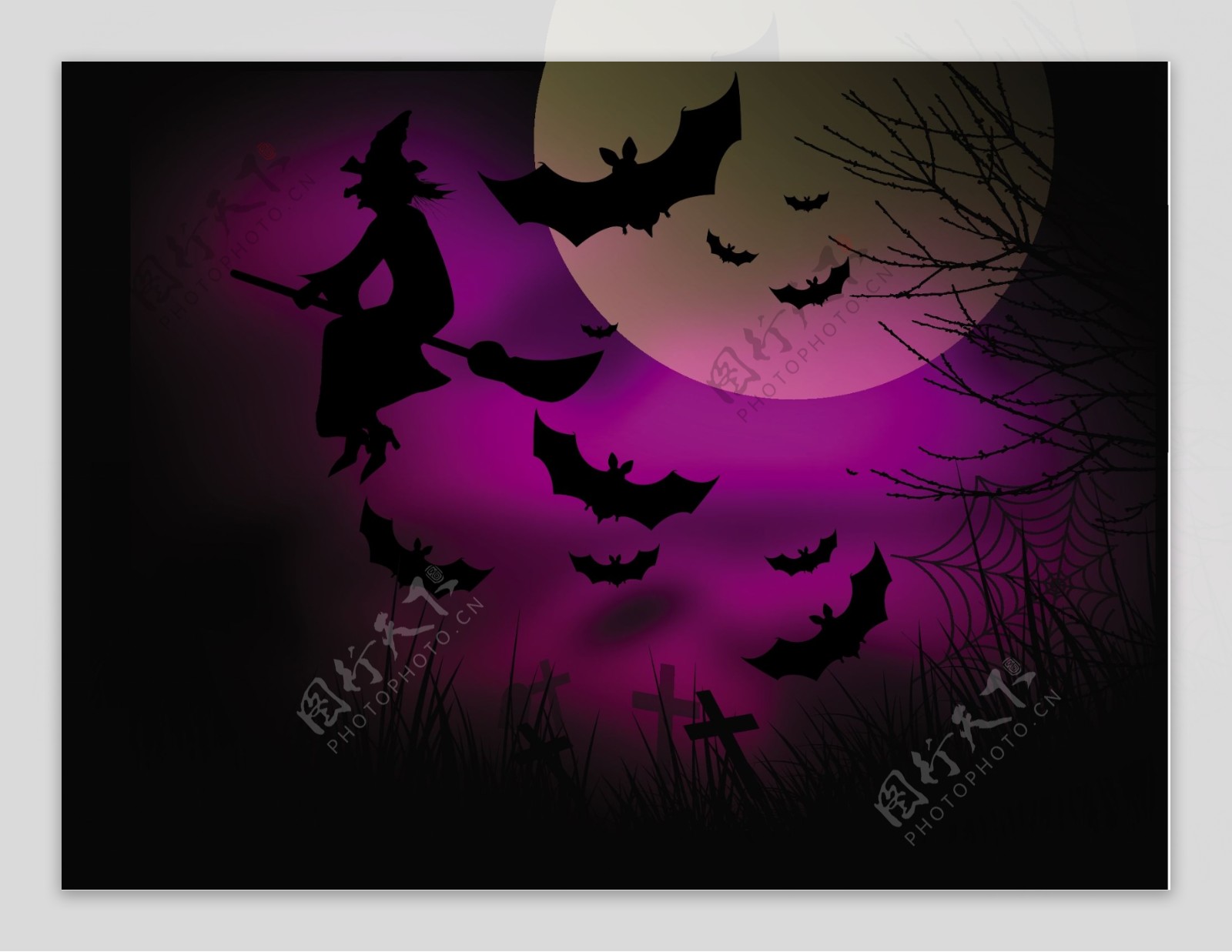紫色月夜巫婆背景