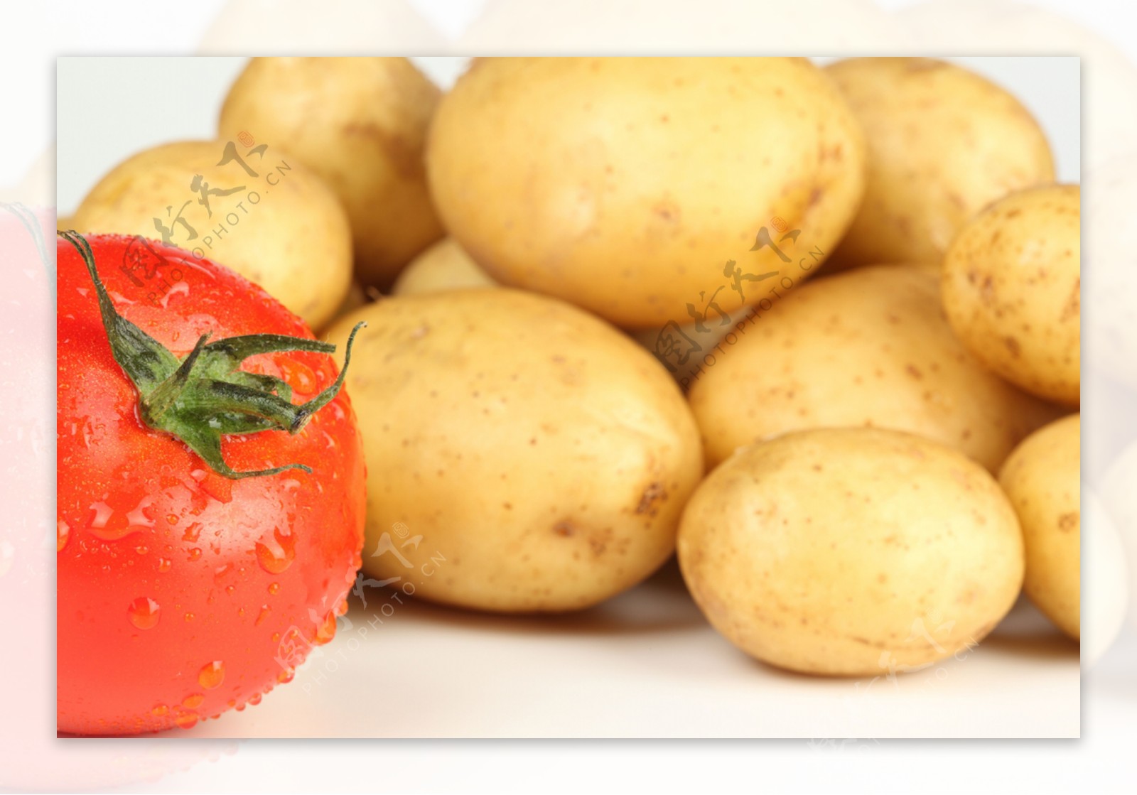 土豆是根还是茎（一些关于马铃薯的知识） – 碳资讯