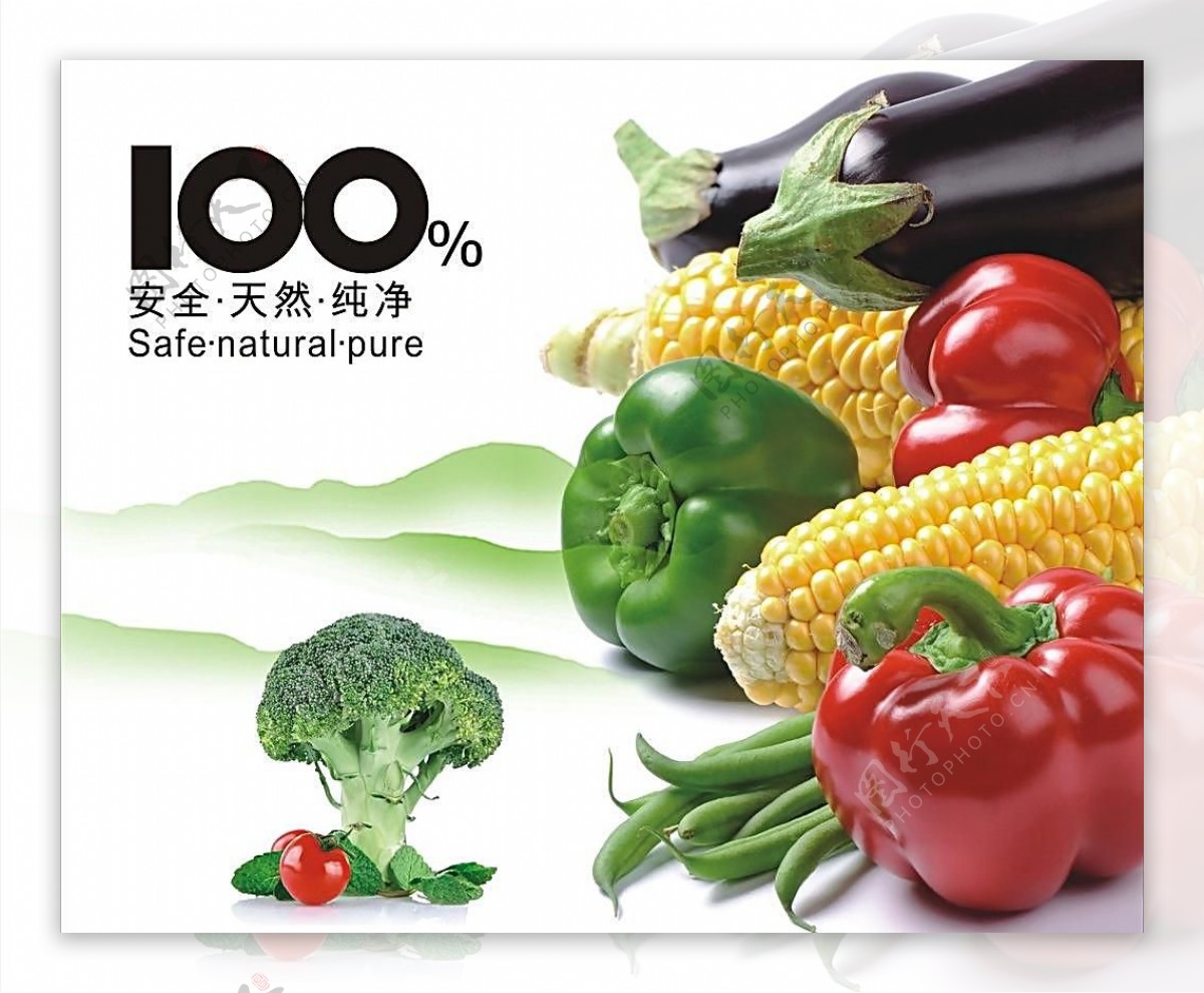 有机蔬菜百分百图片
