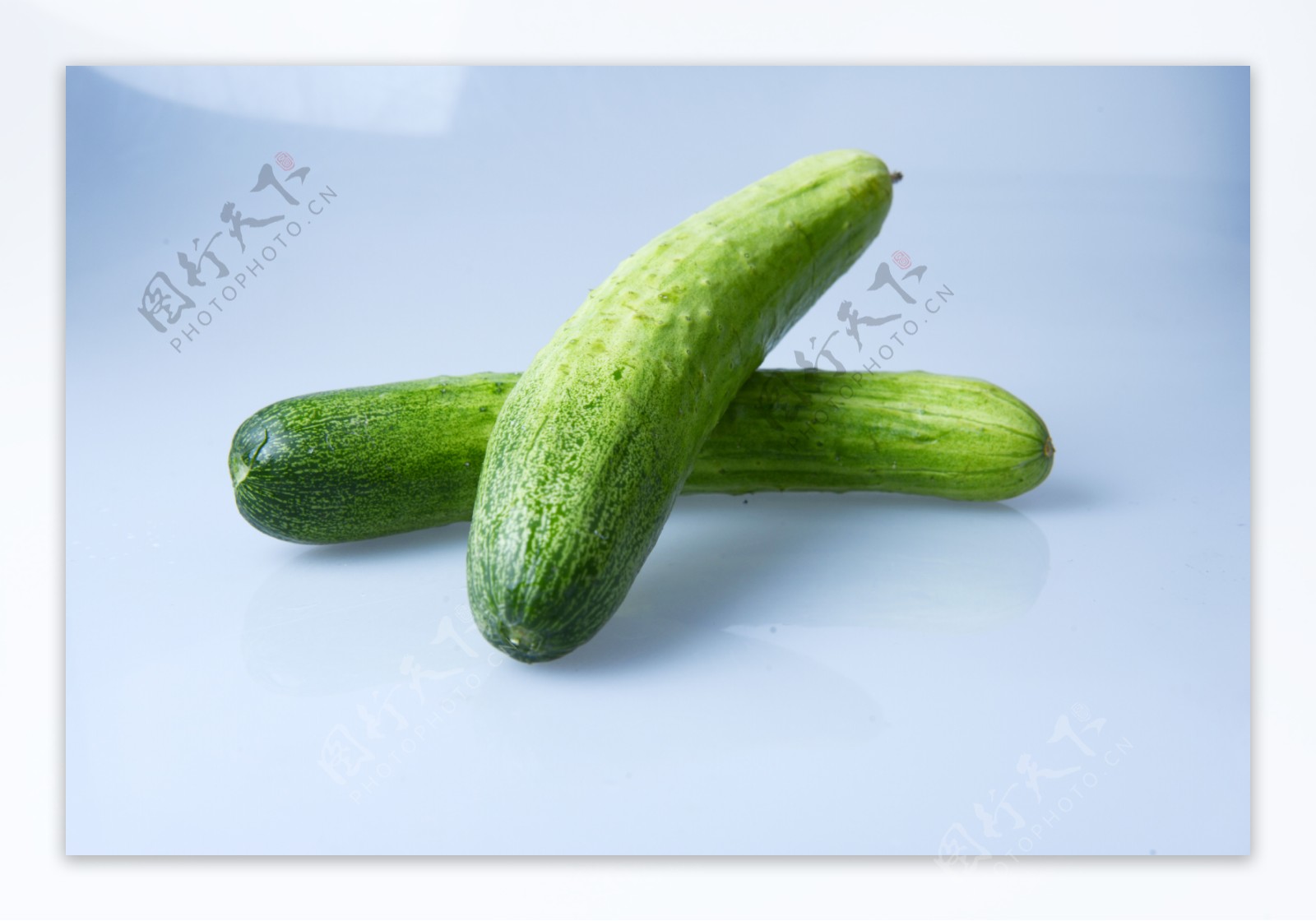 土黄瓜黄瓜蔬菜图片