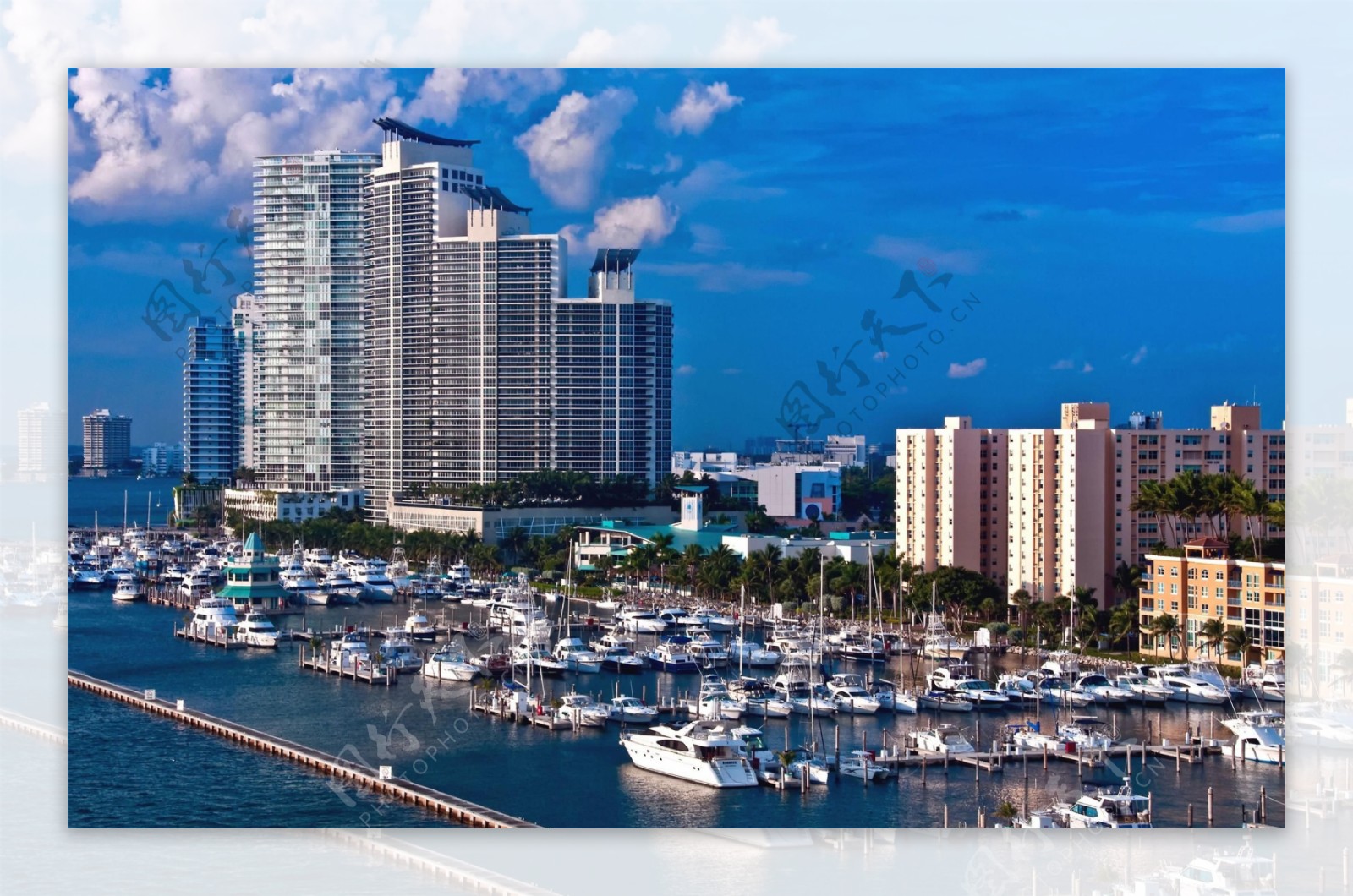 迈阿密城市一景图片