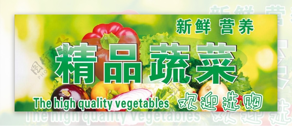 精品蔬菜吊牌图片