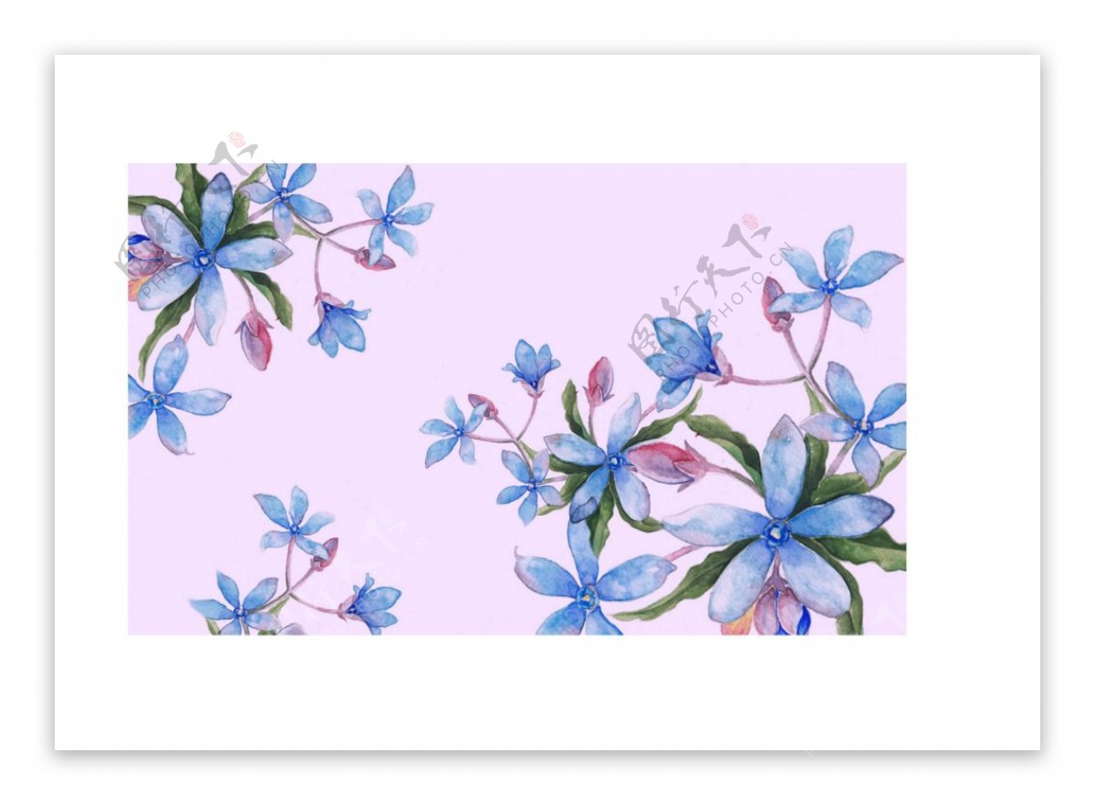 唯美不规则排列植物花卉装饰壁纸图案