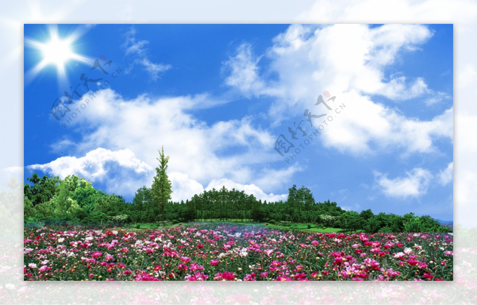 蓝天白云树林花园风景图片