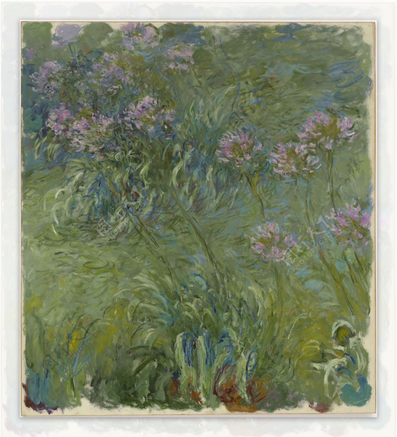 Agapanthus191417风景建筑田园植物水景田园印象画派写实主义油画装饰画