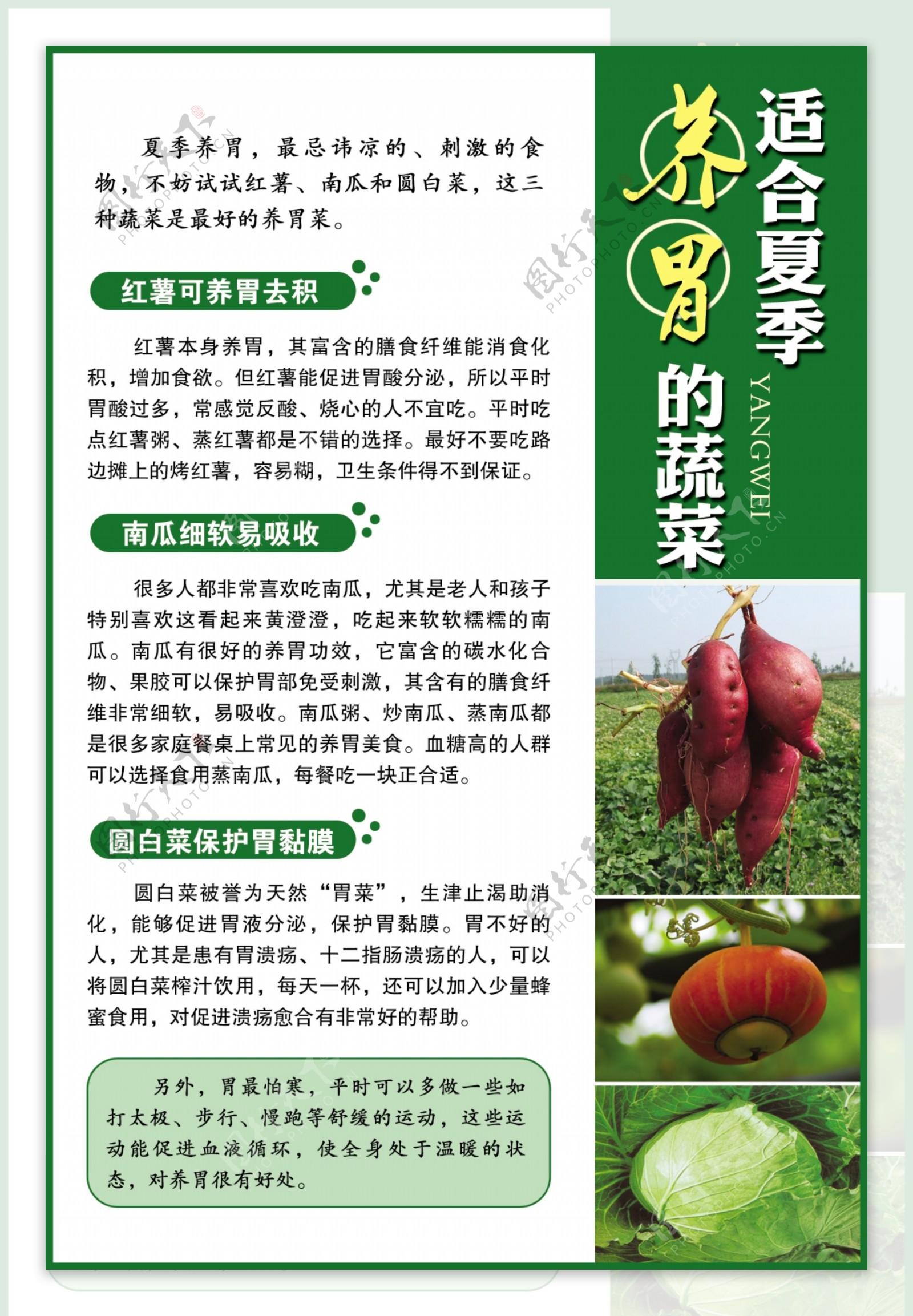 养胃的蔬菜杂志栏目报纸补版内容宣传页图片