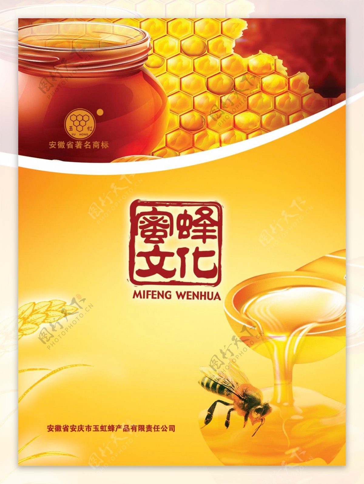 蜜蜂文化封面设计