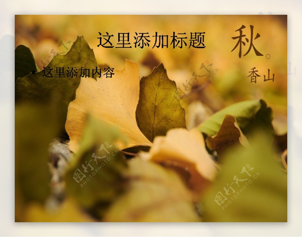 北京香山静宜园秋天风景摄影宽屏ppt12