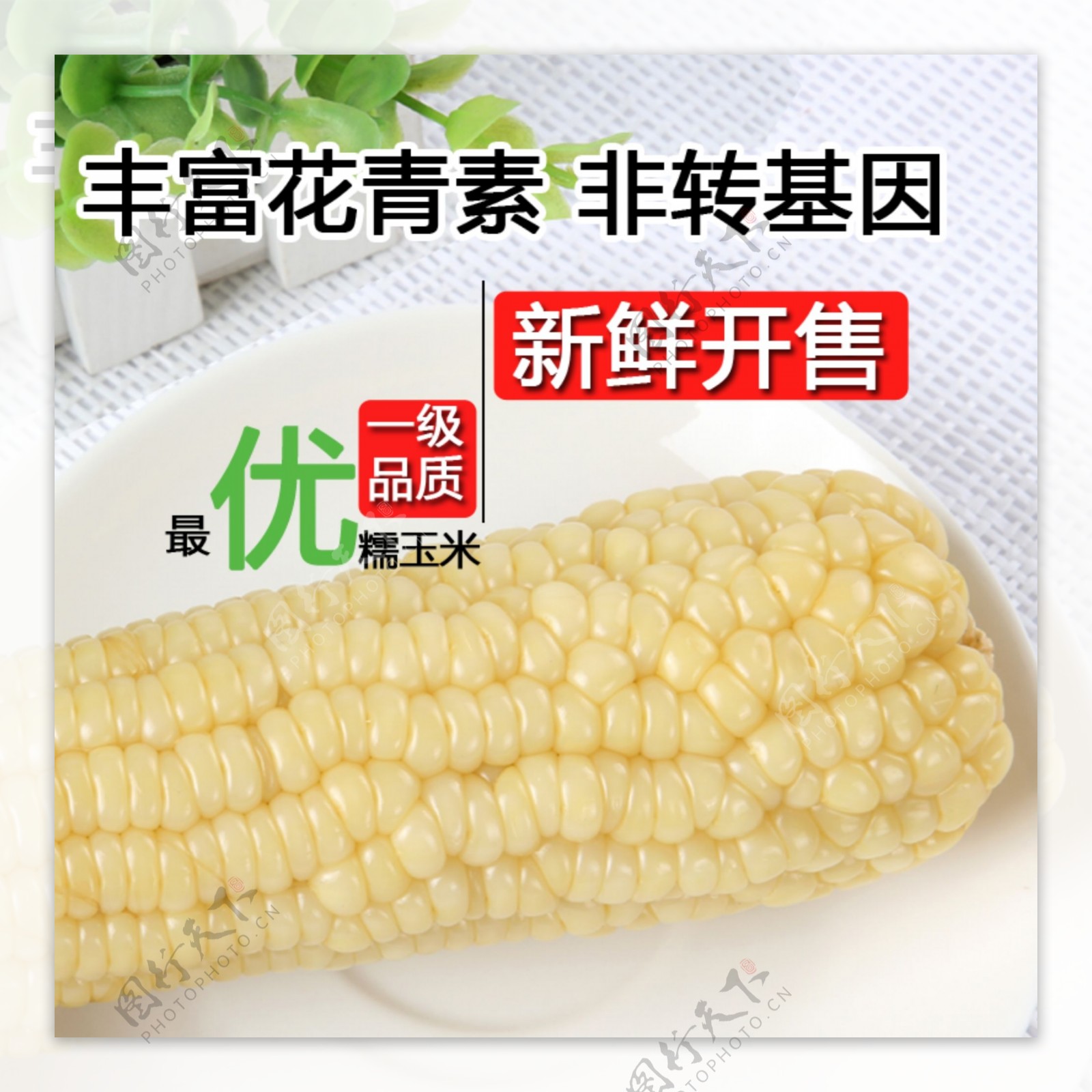 白色玉米图片淘宝详情主图