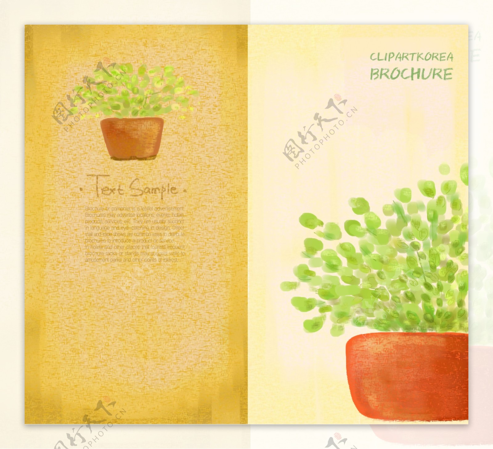 手绘植物图片
