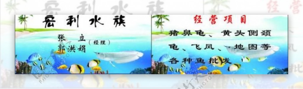 水族名片图片