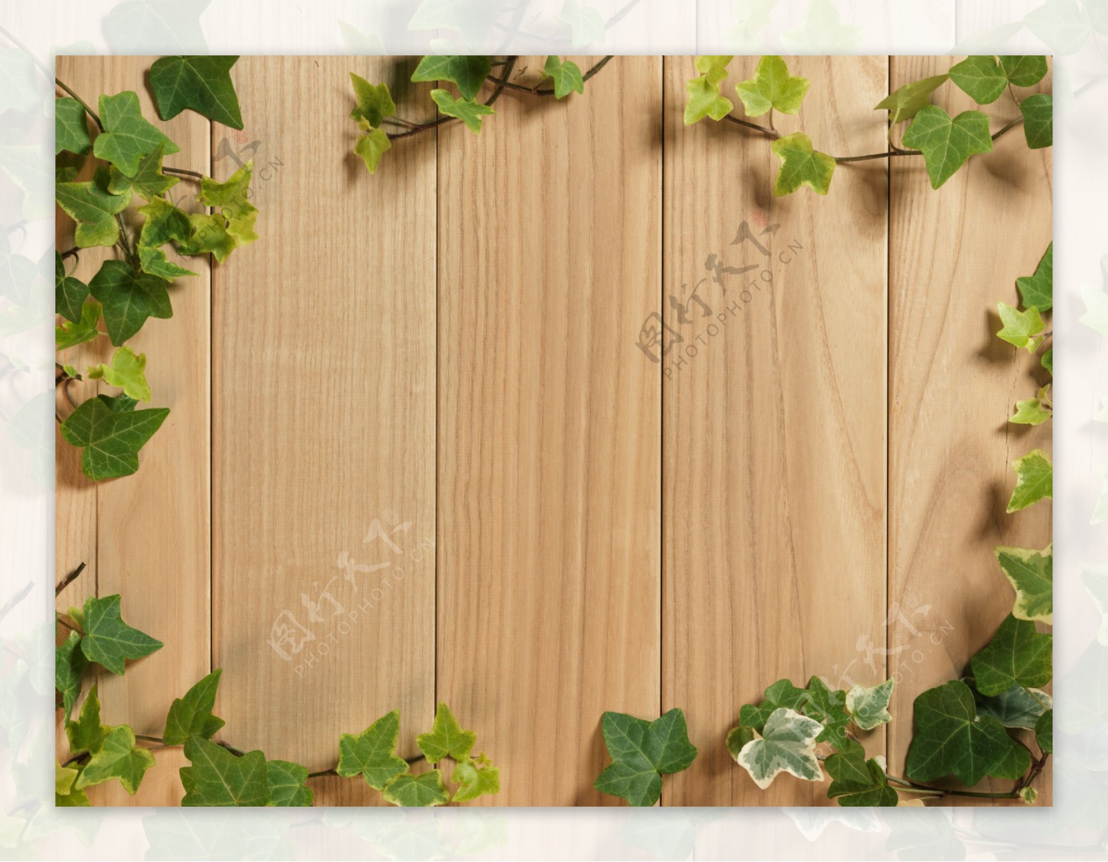 高清藤蔓盘绕竖条木板背景图