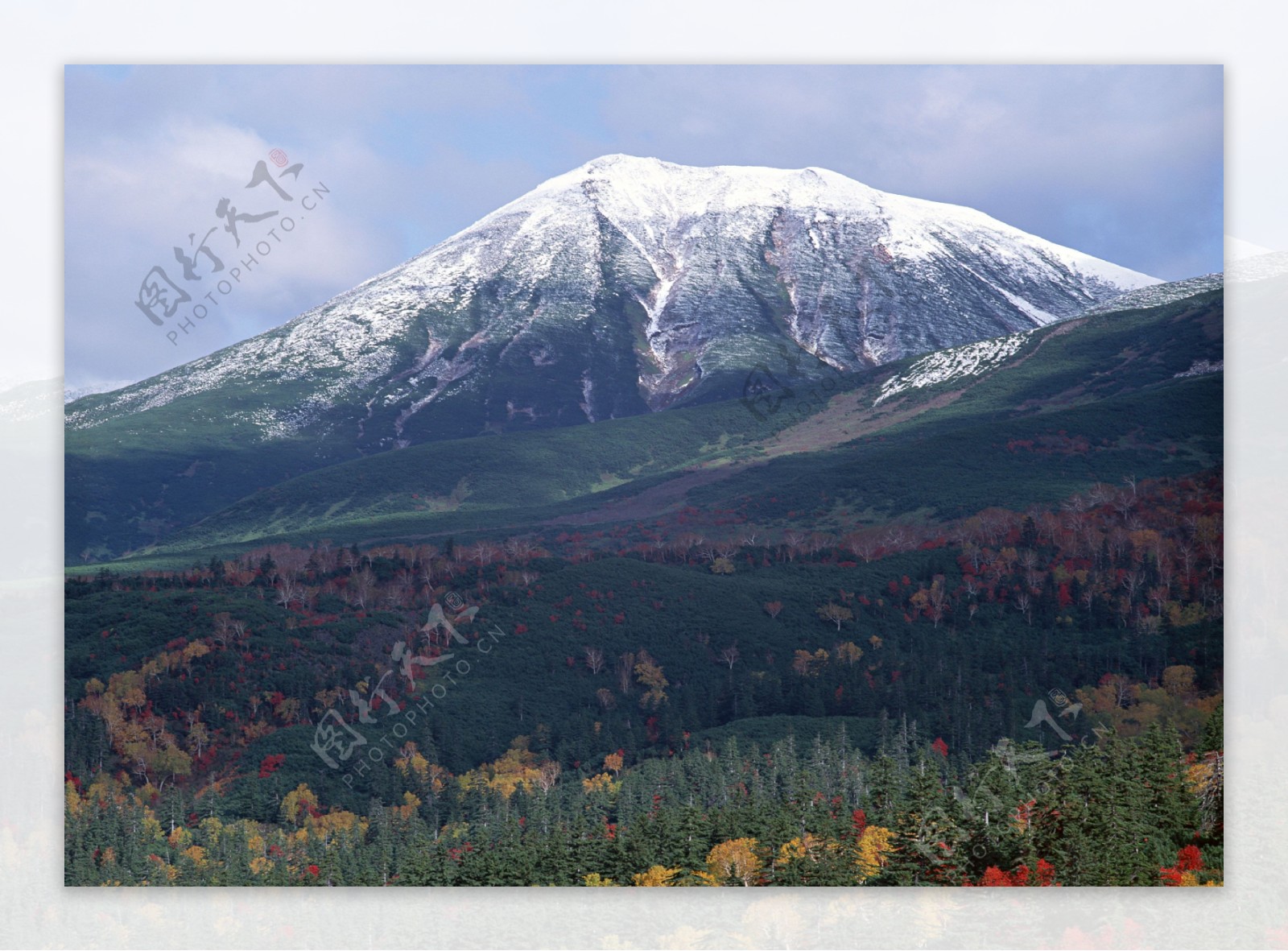 雪山花草图片