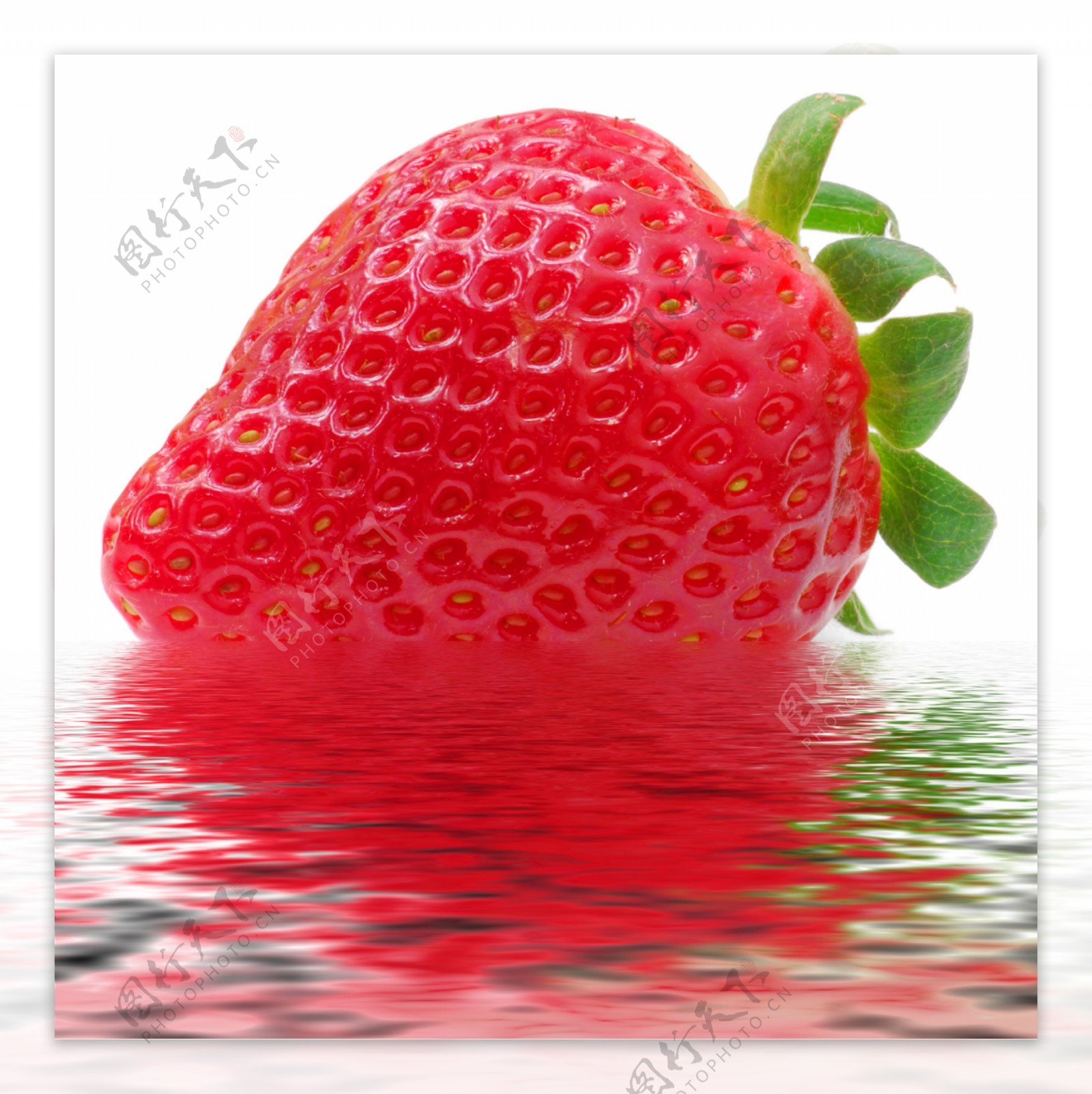 水中草莓图
