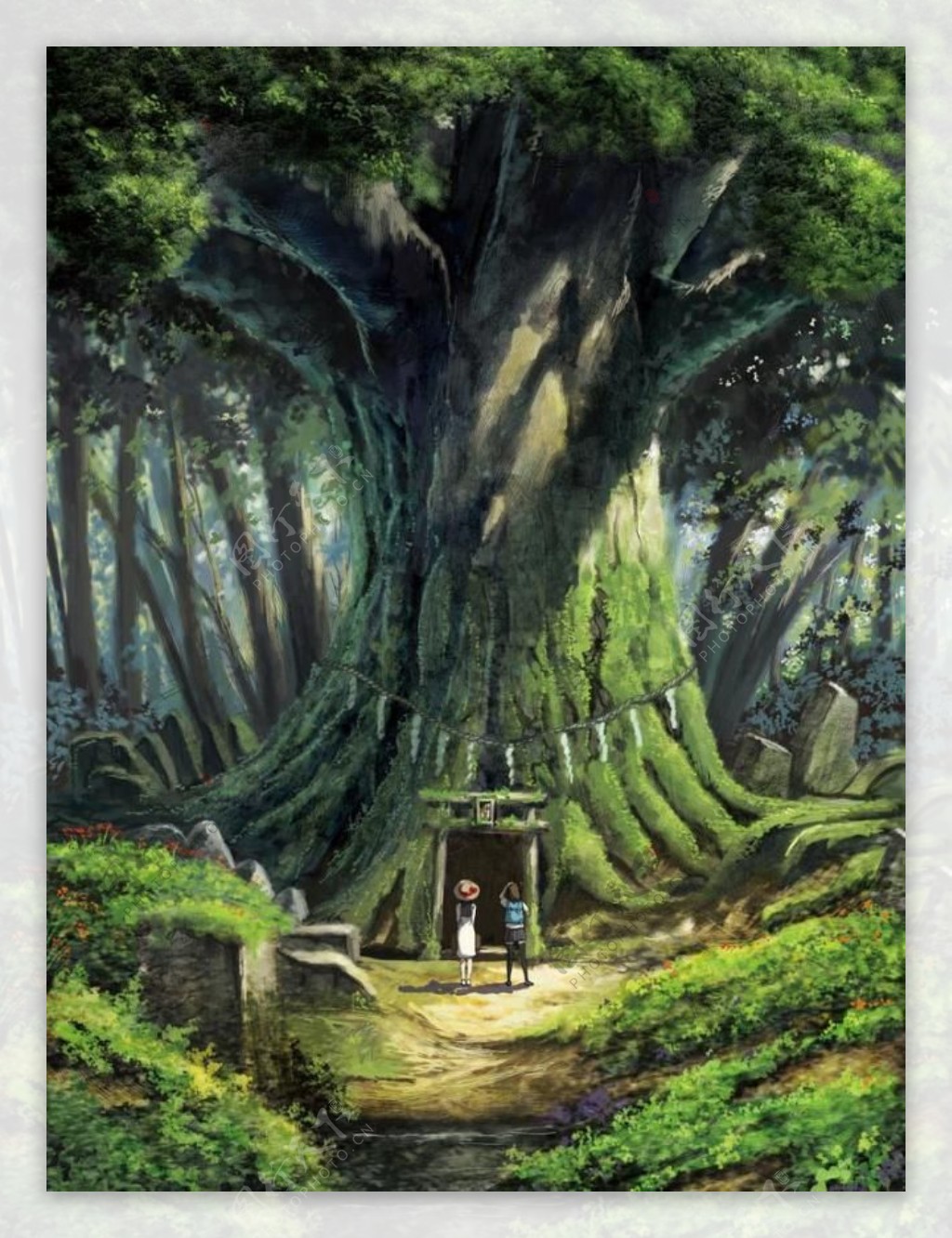 森林神树图片