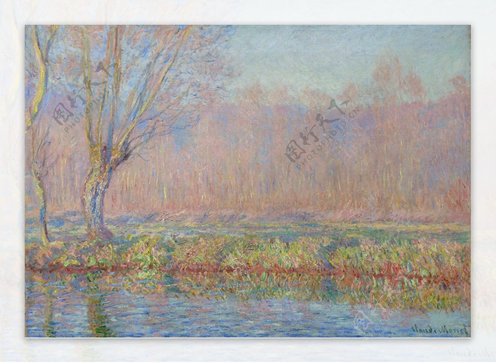 ClaudeMonetTheWillow1885法国画家克劳德.莫奈oscarclaudeMonet风景油画装饰画