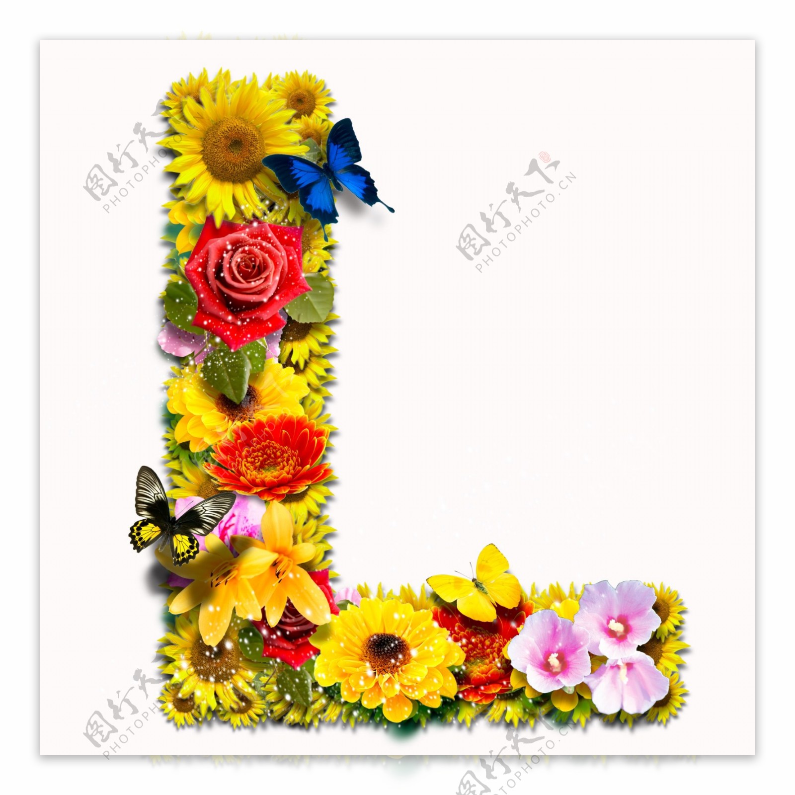 psd花朵合成字母图片