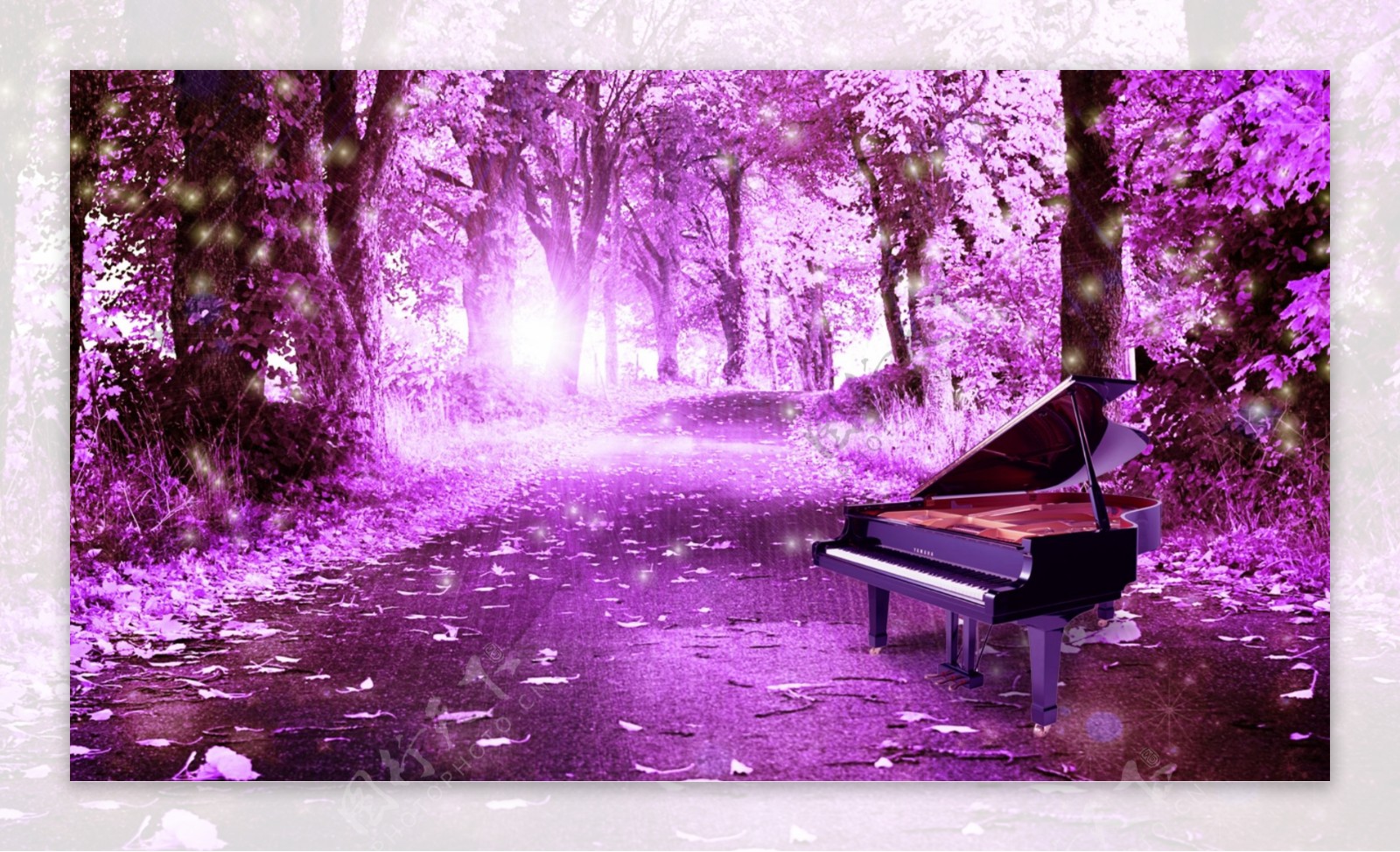 紫色梦幻森林图片