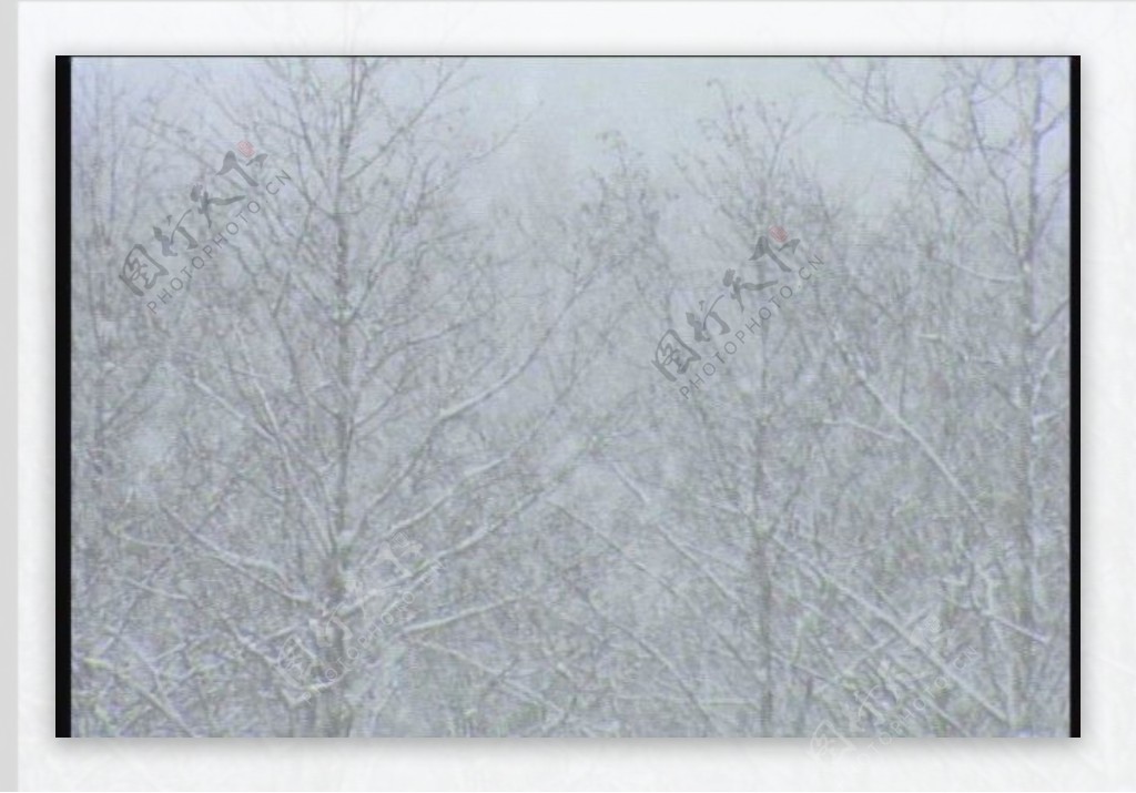 雪景视频素材模板下载