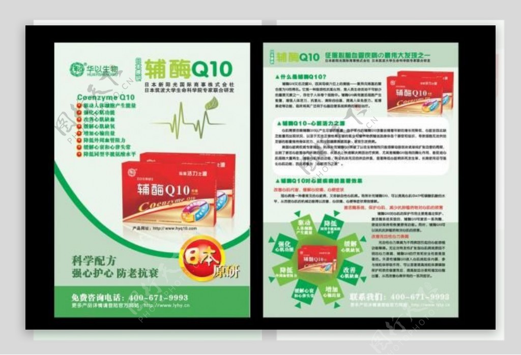 辅酶q10图片