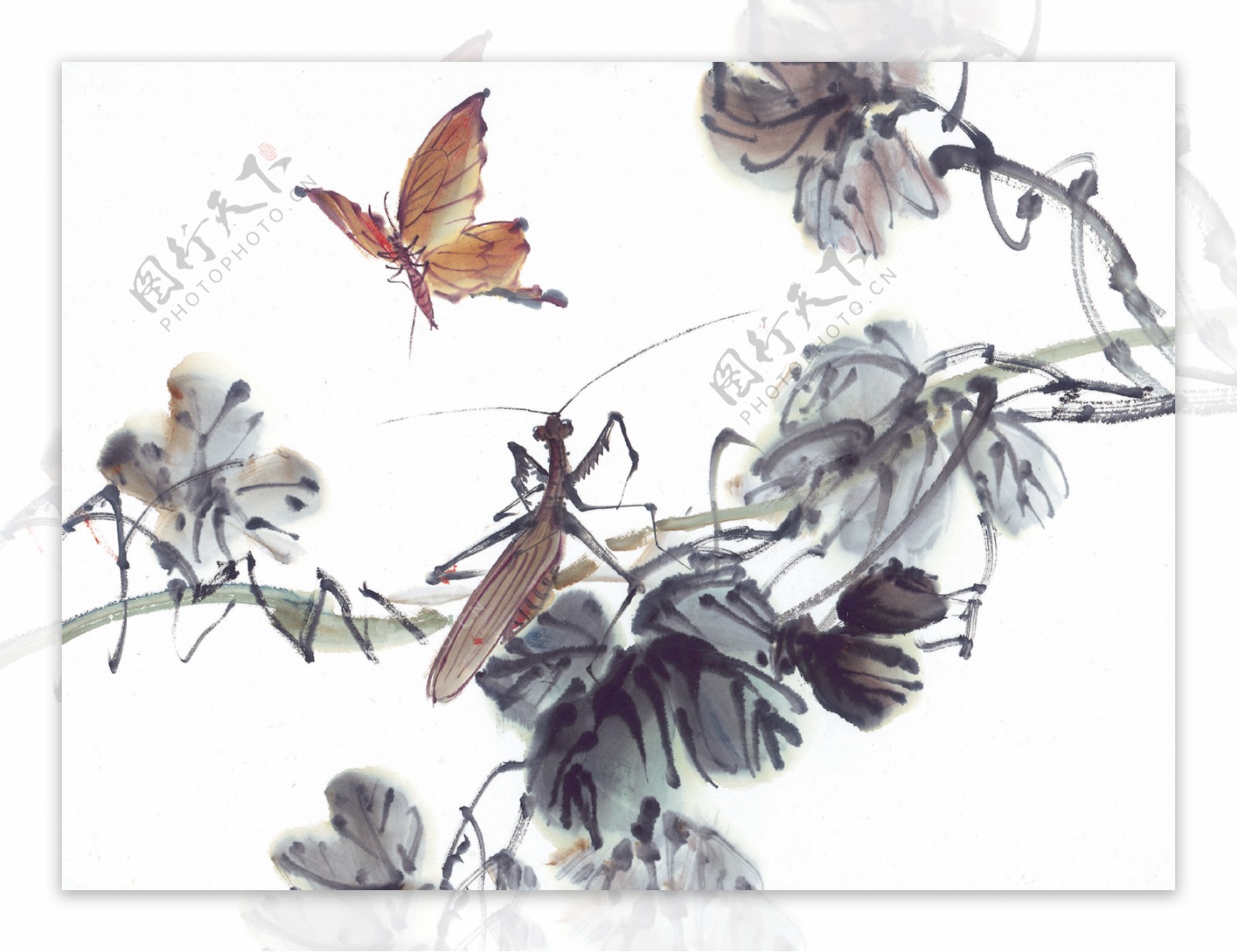树枝花瓣水墨画昆虫蚂蚱蛐蛐知了蝗虫中华艺术绘画