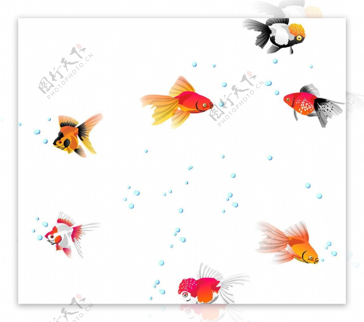 鱼气泡图片