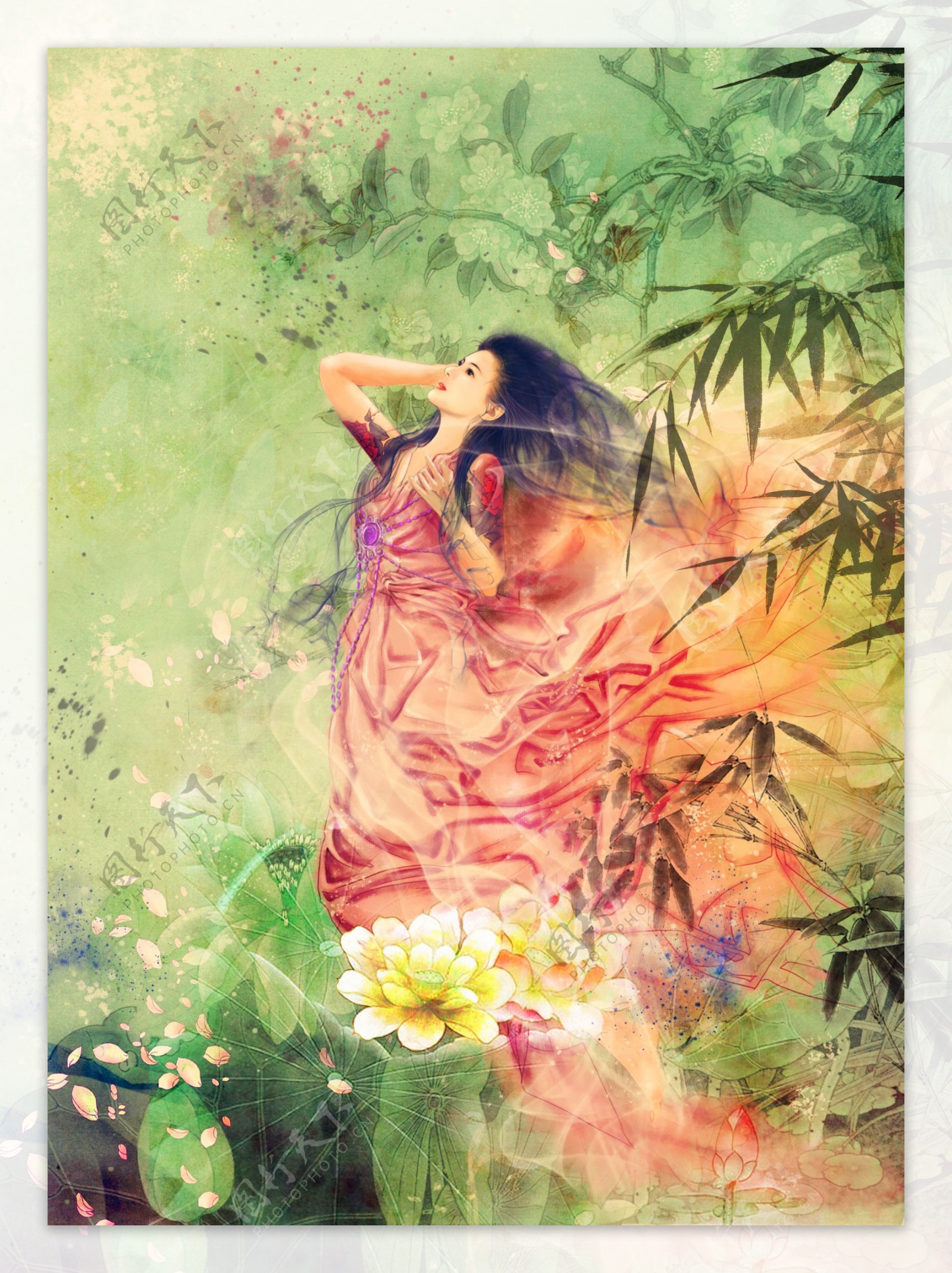 竹梅兰菊图片