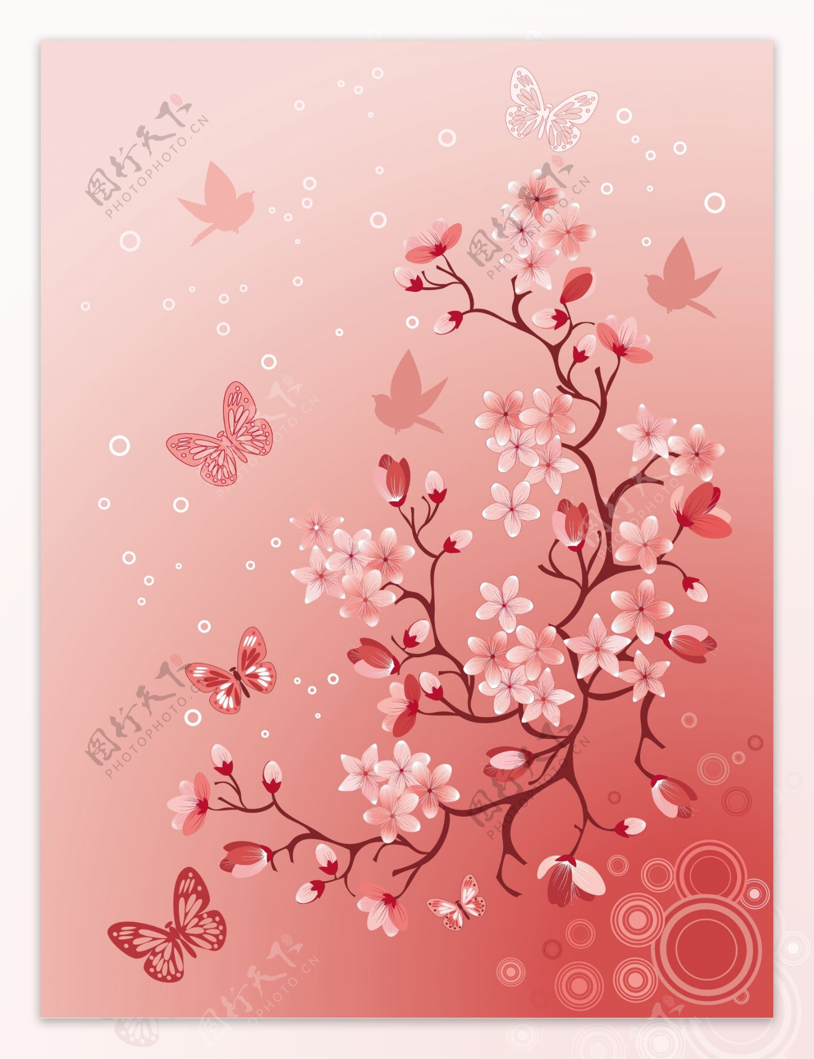 樱花与蝴蝶素材图片