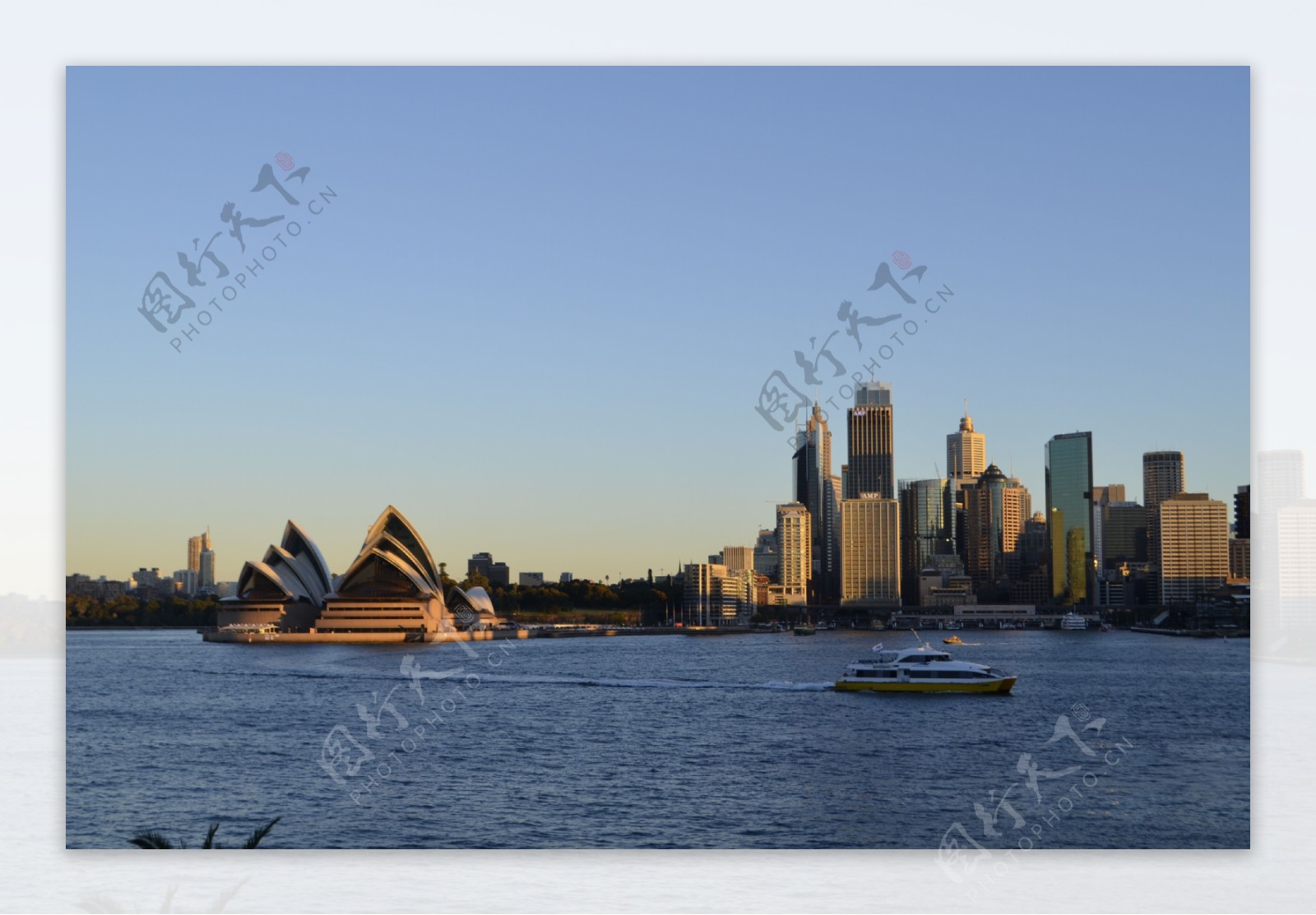 悉尼市景图片