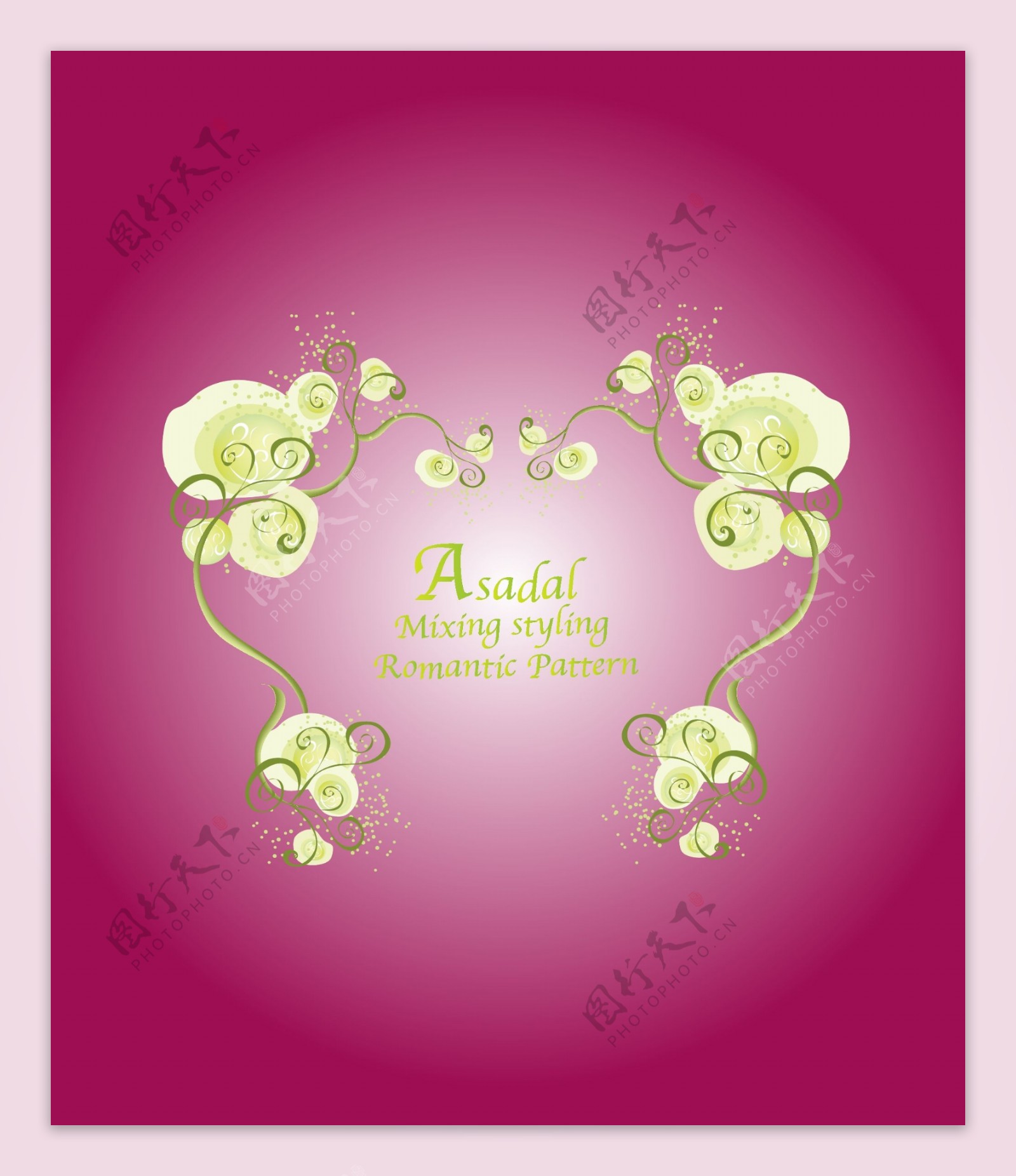 asadal梦幻美丽花边框19欧式边框花与花藤图片