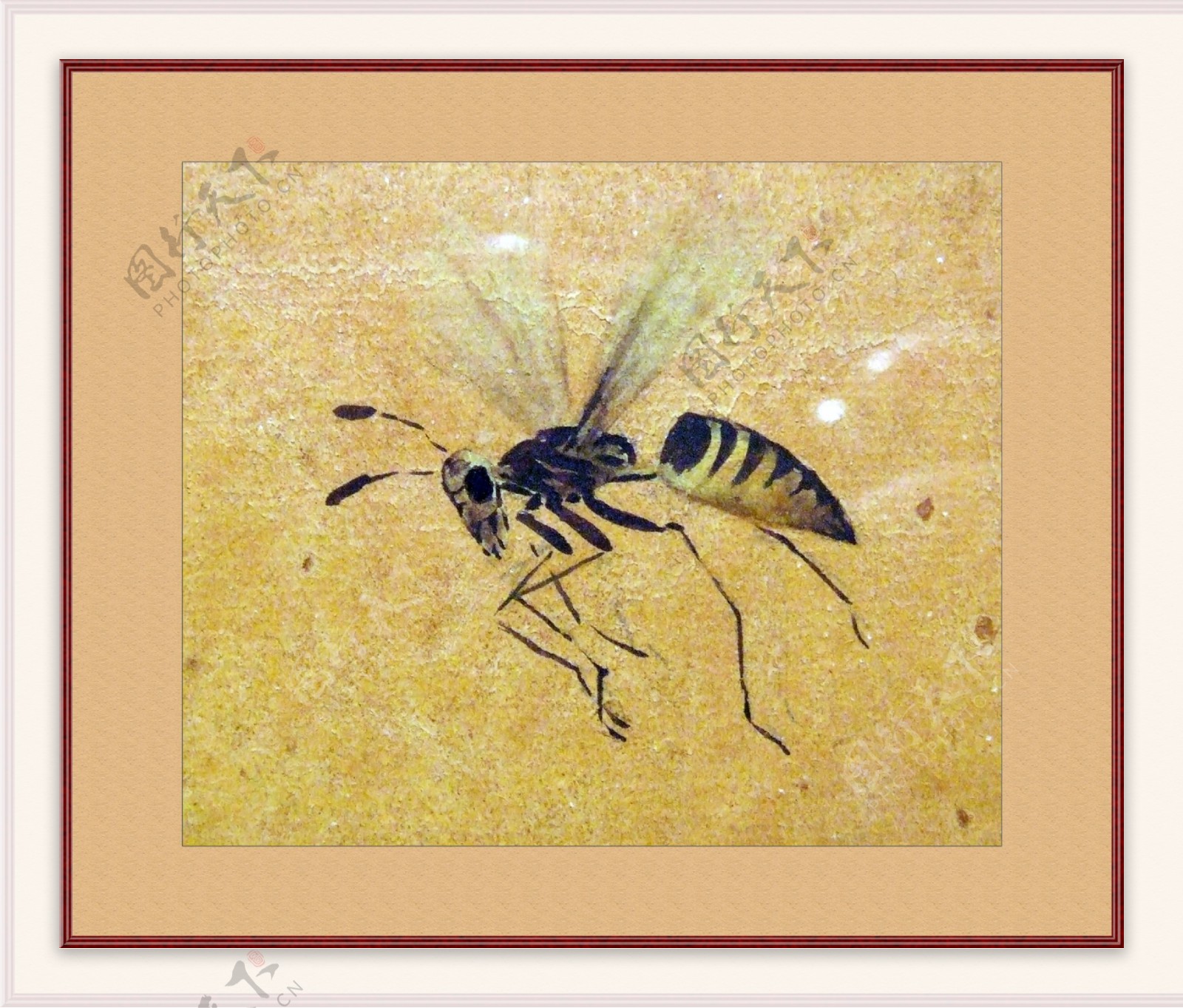 黄蜂工笔画图片