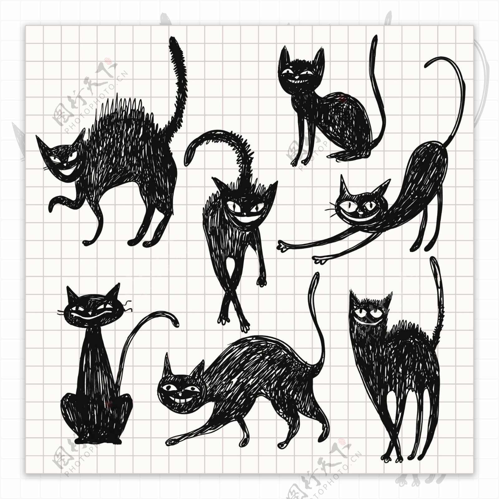 矢量素材猫的各种形态