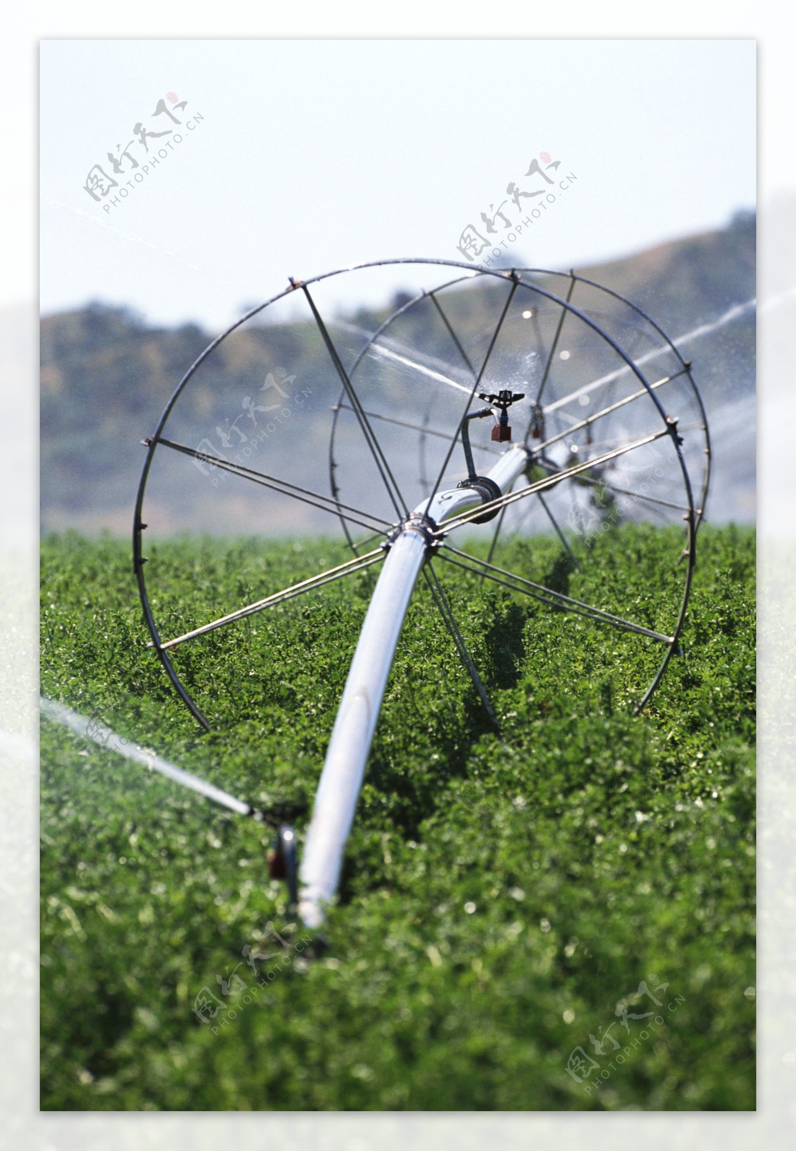 自动灌溉系统四图片