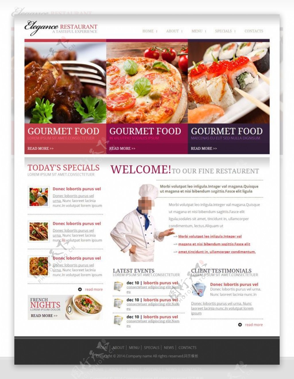 食物网站模型