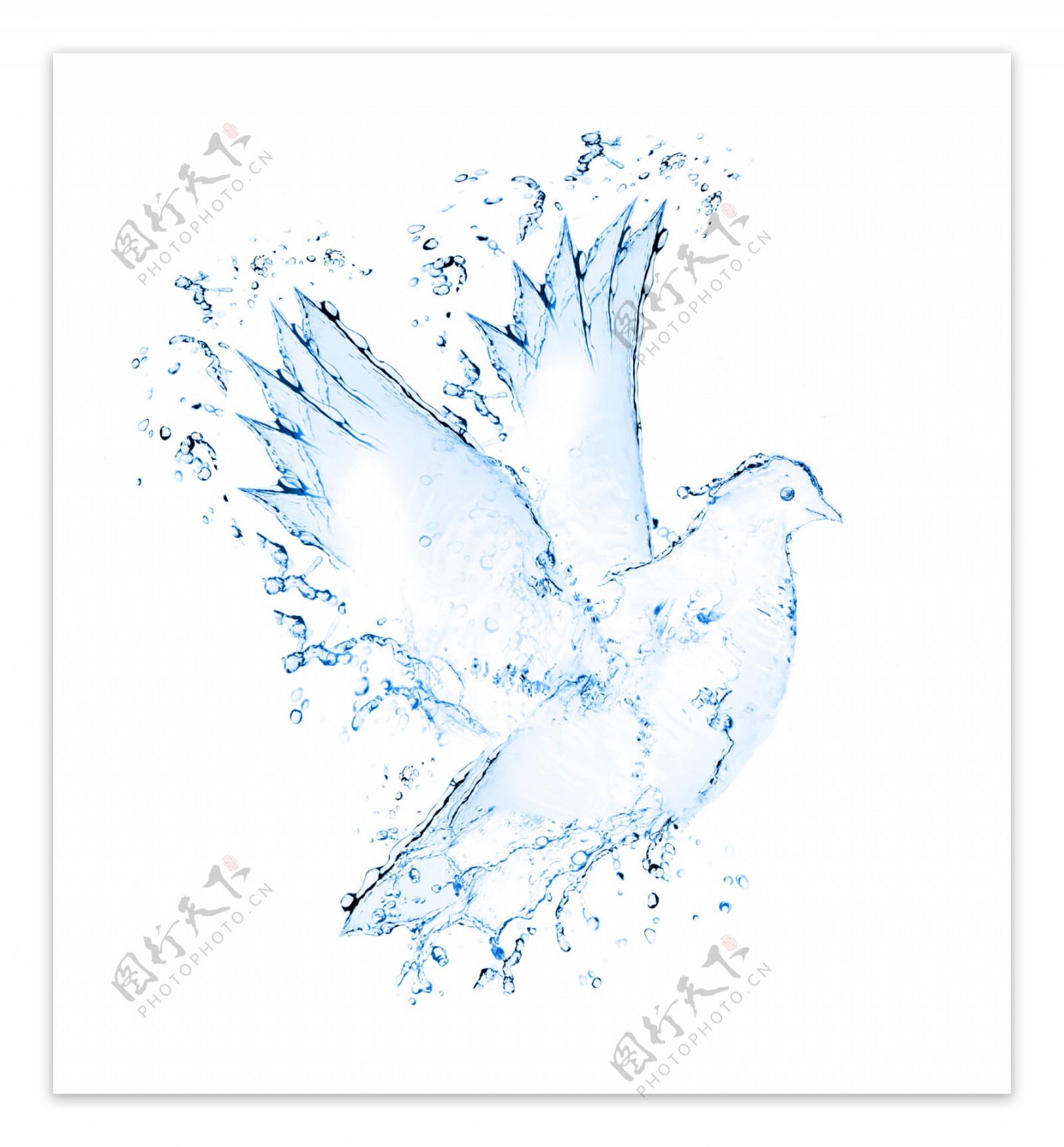 液态水组成的鸽子图案创意图片