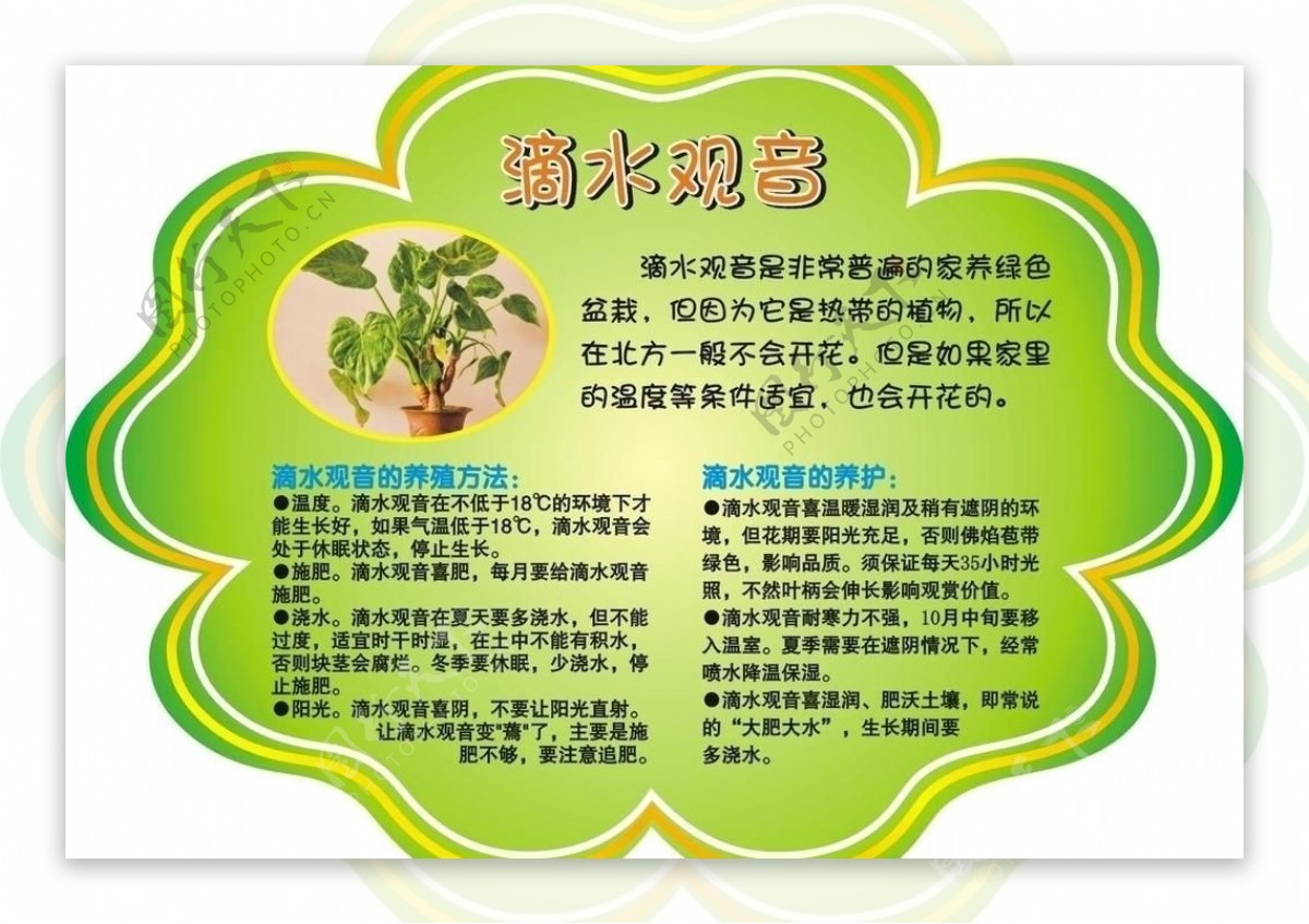 花草小标签图片