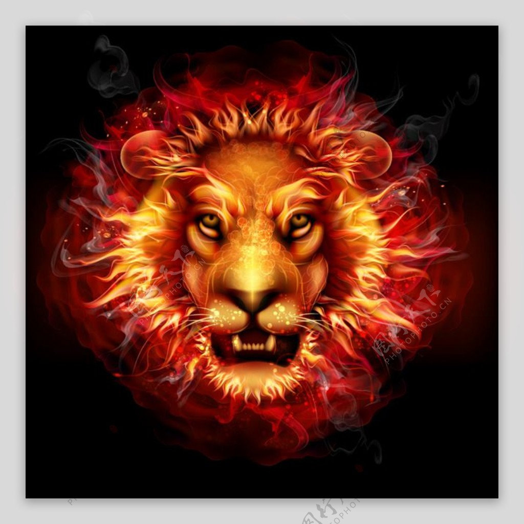 火焰狮子头像矢量素材