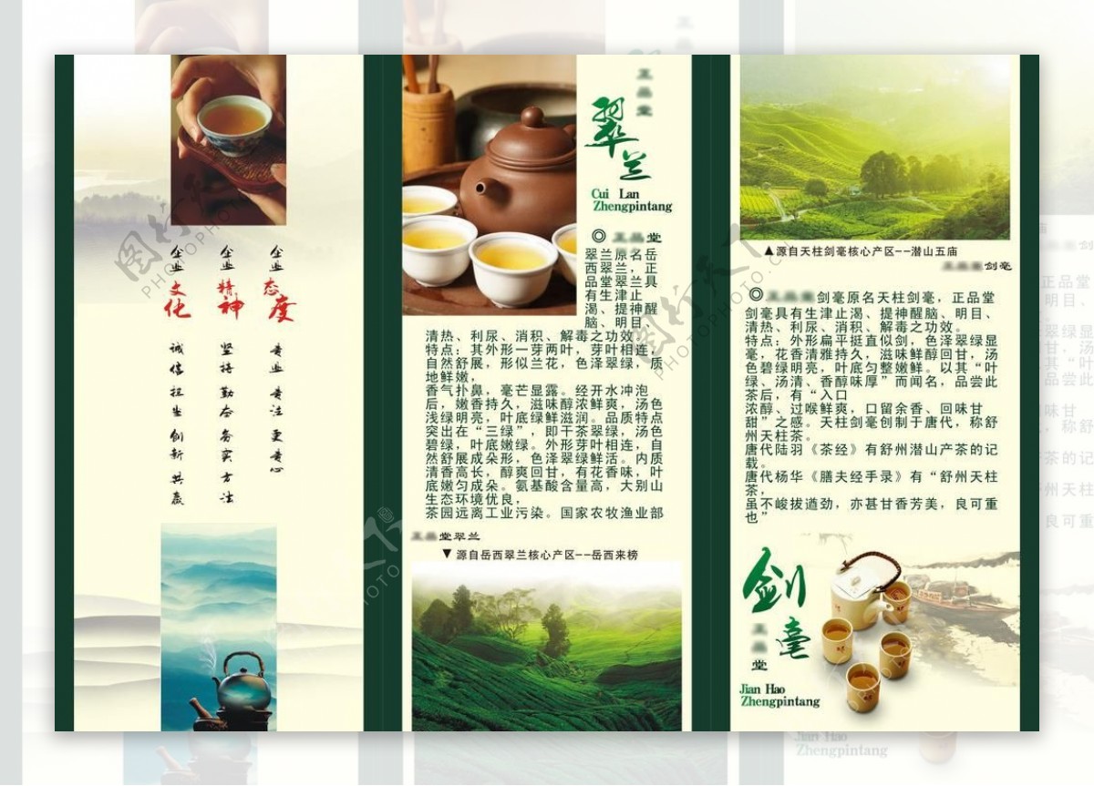 绿茶宣传页图片