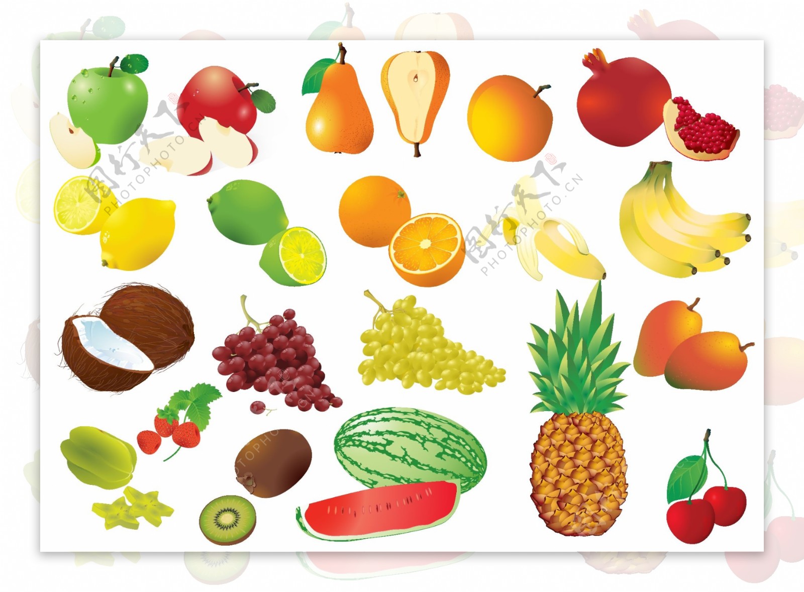 水果和水果框矢量素材