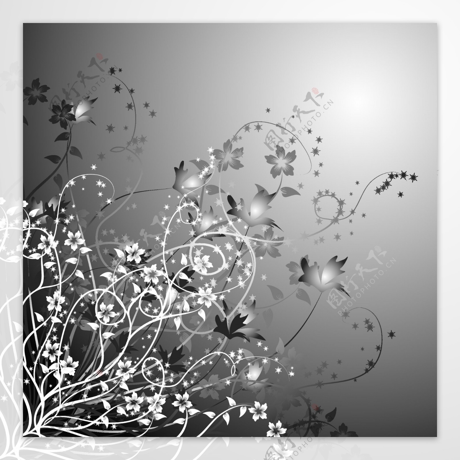 AI矢量图花边花朵树叶线条镜框水彩花底纹