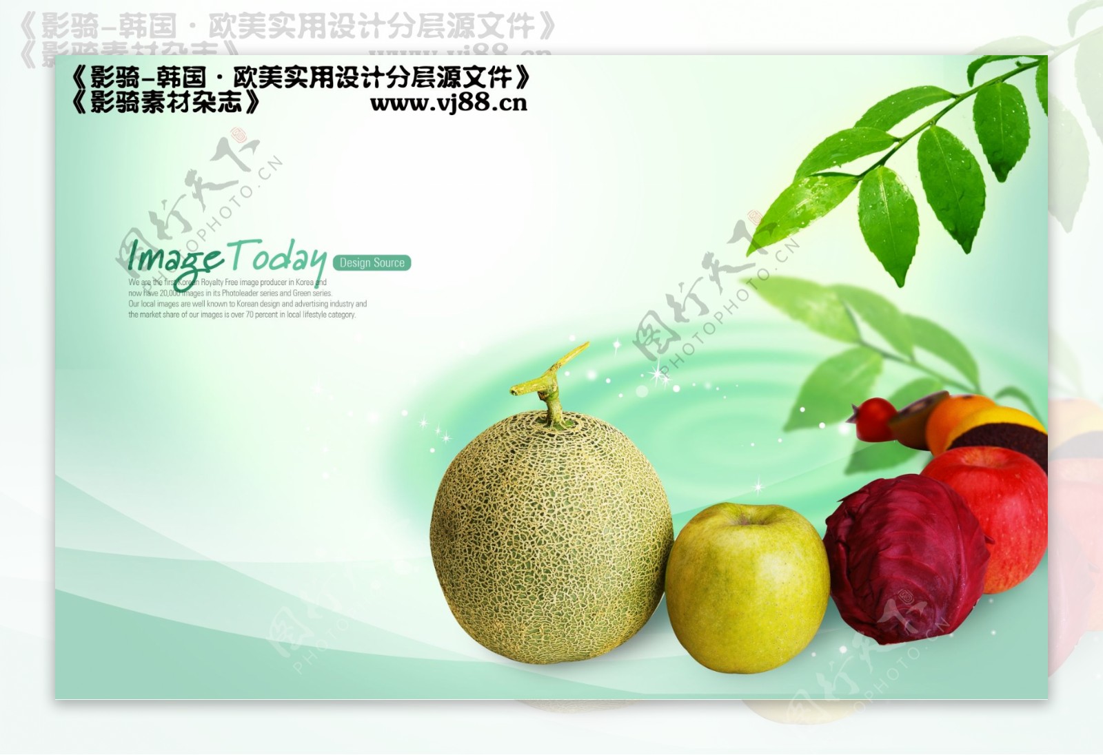 水果新鲜健康营养蔬菜影骑韩国实用设计分层源文件PSD源文件