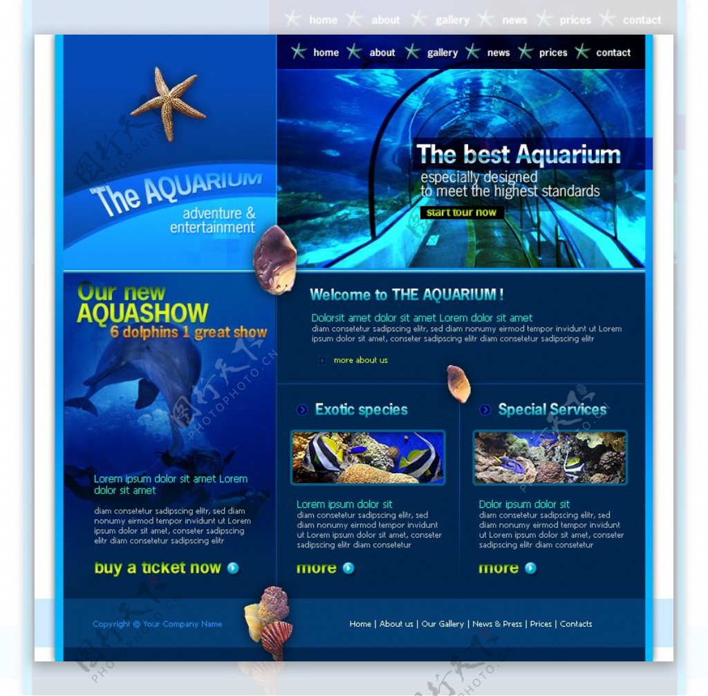 海洋生物馆网站psd模板