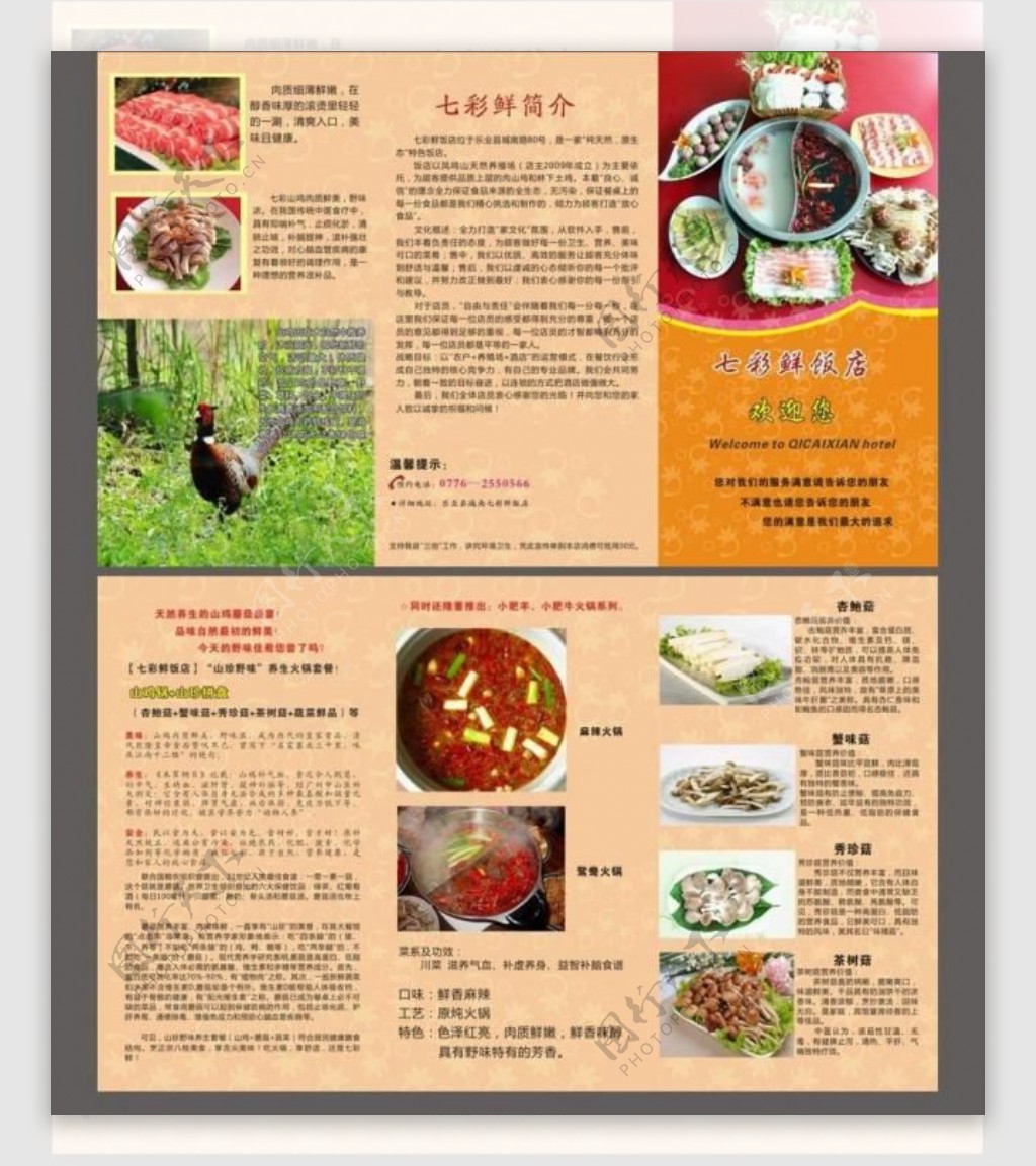 七彩鲜饭店三折页图片